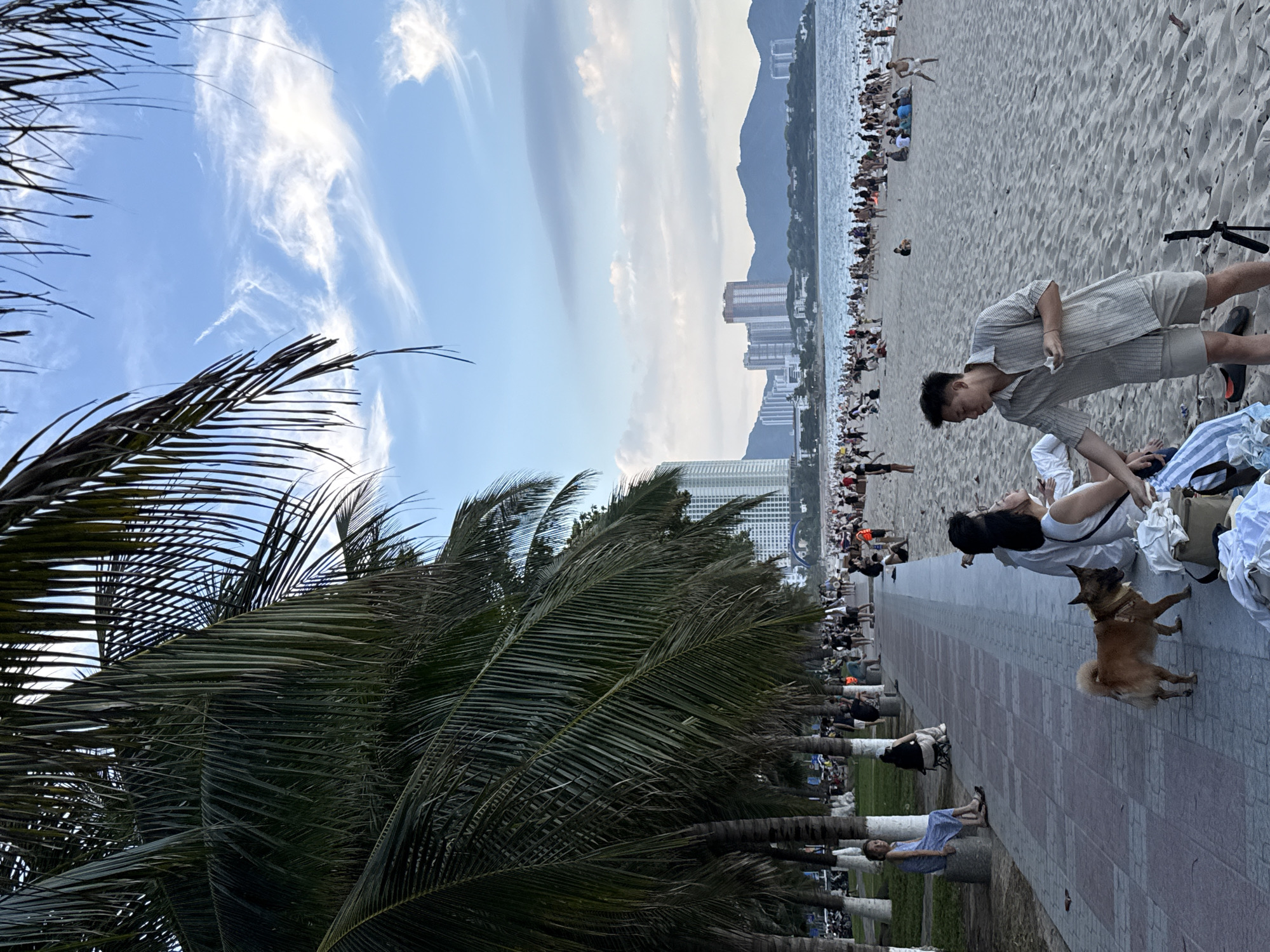 The image depicts a crowded beach scene in Nha Trang Ward, Vietnam. In the foreground, lush green palm fronds frame the view, with a clear blue sky and wispy white clouds above. A paved walkway runs parallel to the beach, where several people are seated and lying down, some resting and others conversing. A small, brown dog is visible on the walkway, standing and looking to its right. Further along the walkway, more people are seen relaxing, including a woman in a blue dress sitting on a low wall, and a man in a striped shirt and shorts in the middle ground.
The beach itself is filled with a multitude of people, appearing to be enjoying a day at the seaside. Some are walking along the shore, while others are gathered in groups, likely sunbathing or socializing. The ocean is a calm expanse of water, meeting a hazy horizon where mountains are faintly visible. Tall buildings are also scattered along the coastline, indicating an urban proximity to the beach. The lighting suggests it is late afternoon or early evening, with the sun casting soft light. The overall atmosphere seems relaxed and leisurely, with many people engaged in recreational activities. No visible text is present in the image.