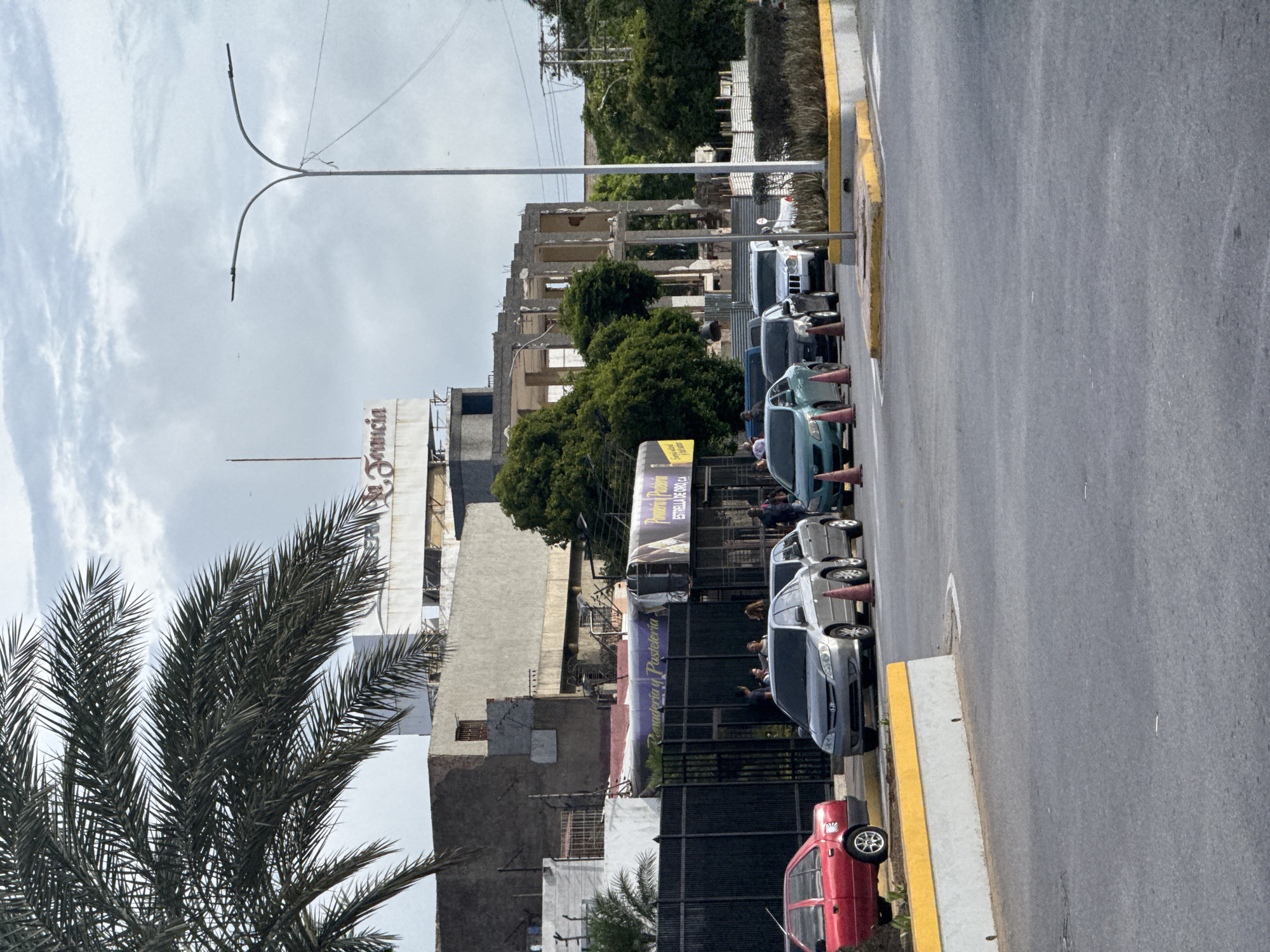 In Porlamar, Venezuela, on a cloudy day, a street scene unfolds with several cars parked and driving on a grey asphalt road. In the foreground, a grey concrete barrier with a yellow stripe runs along the edge of the road. To the left, a red sedan is parked. Beyond the barrier, a line of cars, including a silver sedan, a dark sedan, a white SUV, and a teal sedan, are visible. Orange traffic cones are placed near some of these vehicles. A black metal fence encloses an area behind the parked cars, where several people are standing near a building with banners. One banner reads "Panadería y Pastelería" and another displays "ESTRELLA DE ORO CA". In the background, a partially constructed building with exposed concrete structure stands, and further back, a sign with the word "Francia" is visible on top of a building. A palm tree with its fronds extending into the upper left corner of the frame partially obscures the sky and the buildings. A street lamp with two lights is present on the right side of the image. The overall environment suggests an urban setting with some ongoing construction.