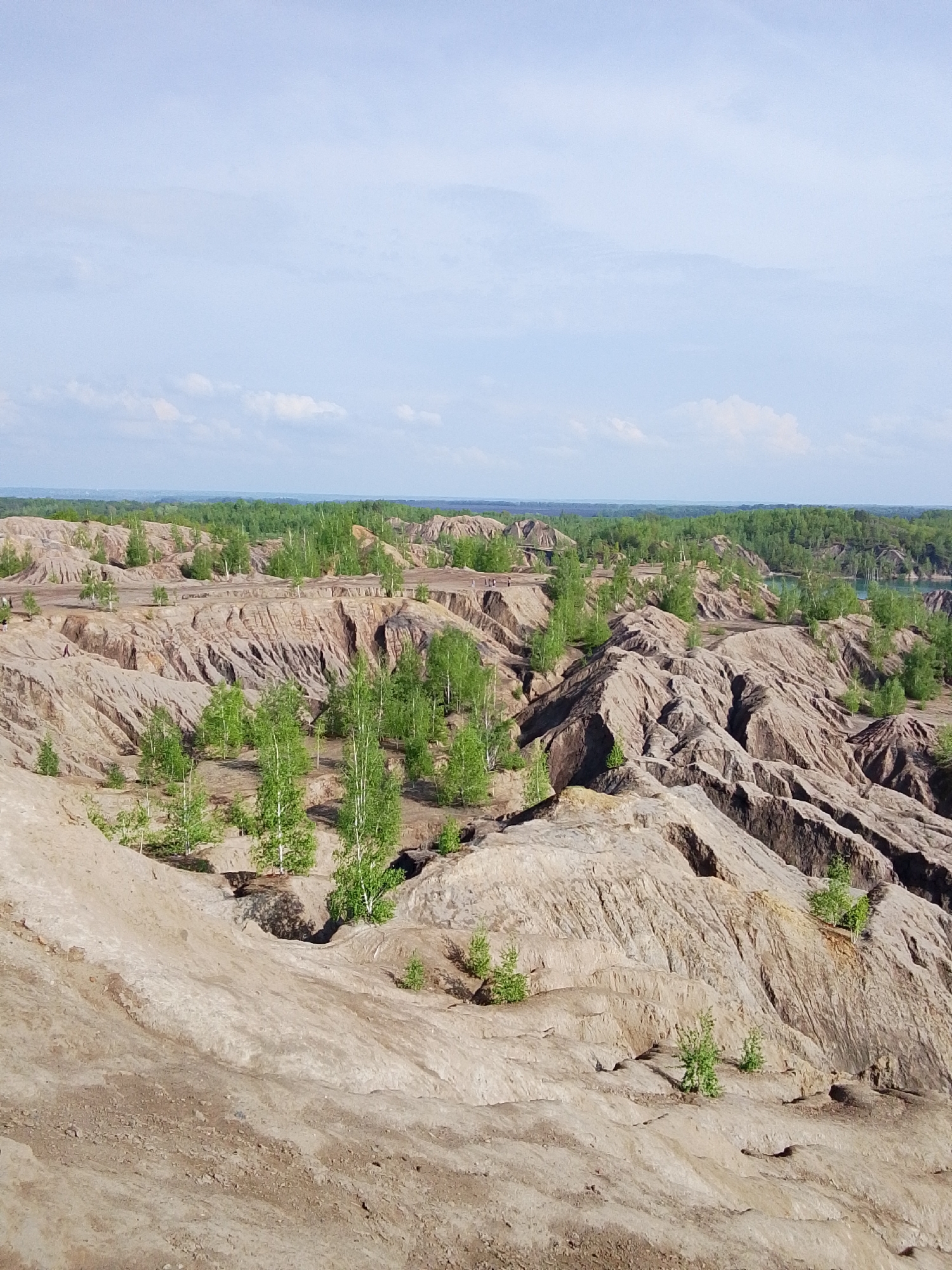 The image depicts a landscape characterized by eroded, brown, rocky hills, interspersed with sparse vegetation consisting of small, green trees. In the background, a dense forest can be seen, with a body of water visible to the right of the forest. The sky is pale blue with some clouds. The scene is a view of the Romantsev Mountains, located near the city of 1-Go Maya, Russia. There are no people visible in the image. The environment appears dry and barren.