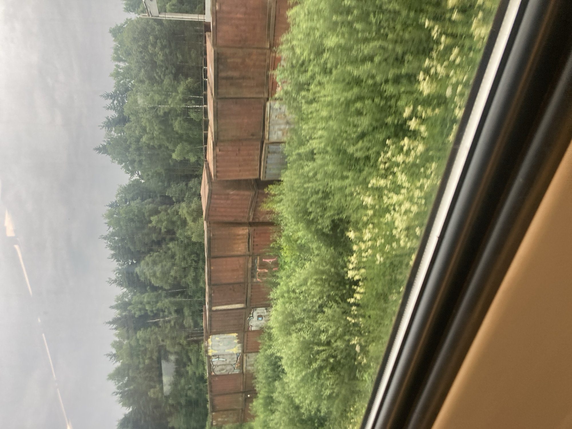 This image captures a view from a train window, looking out at a landscape with industrial elements and natural vegetation. In the foreground, a dark window frame is visible, with a beige interior panel below it. Beyond the frame, a dense expanse of green vegetation, including bushes and small white flowers, stretches across the middle ground. Behind the vegetation, a row of stacked, weathered shipping containers dominates the scene. These containers are mostly reddish-brown and show signs of age and some graffiti. In the background, a line of lush green trees forms a forest. The sky is overcast and grey, suggesting a cloudy day. The overall impression is of an industrial area adjacent to a natural landscape, viewed from a moving vehicle.