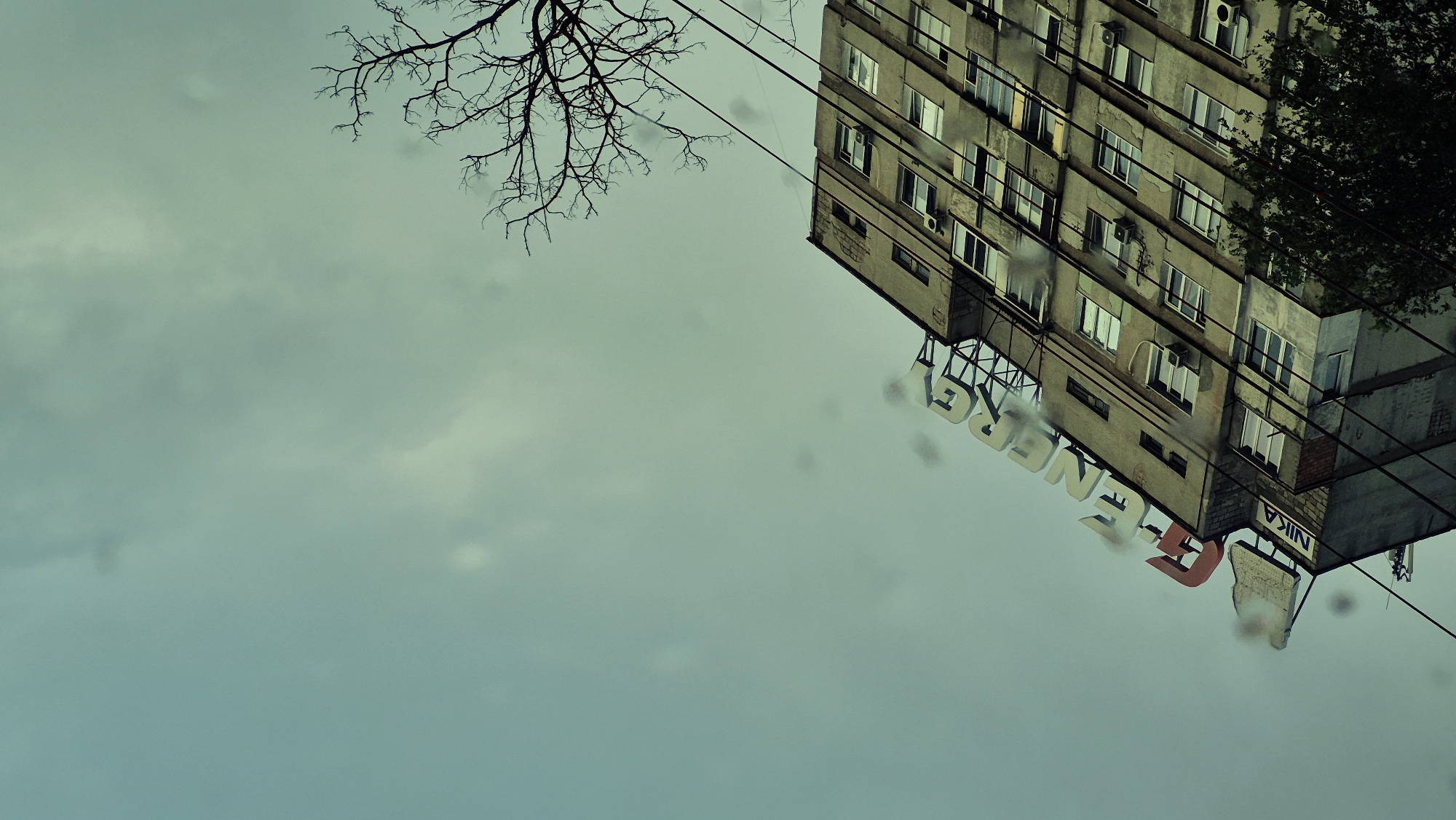 The image shows an upside-down view of a building in Chișinău, Moldova, against a cloudy, overcast sky. The building appears to be an apartment complex or office building, with multiple floors and numerous windows. Some of the windows have air conditioning units installed. The facade of the building is weathered and shows signs of age.
Prominently displayed on the side of the building are large, three-dimensional letters forming the word "GENERAL," with the "G" being red and the rest white. Below this, smaller letters spell out "NI KA." These appear to be signs, possibly for a business or company.
In the upper left of the frame, the bare branches of a deciduous tree are visible, silhouetted against the sky. There are also some power lines running across the scene. The sky is a uniform gray, suggesting it is either early morning, late evening, or a heavily overcast day. There are visible water droplets on the surface from which the photo is taken, indicating it might be raining or has recently rained. The overall mood of the image is somewhat somber and utilitarian, typical of urban landscapes under cloudy weather. No people are visible in the frame.