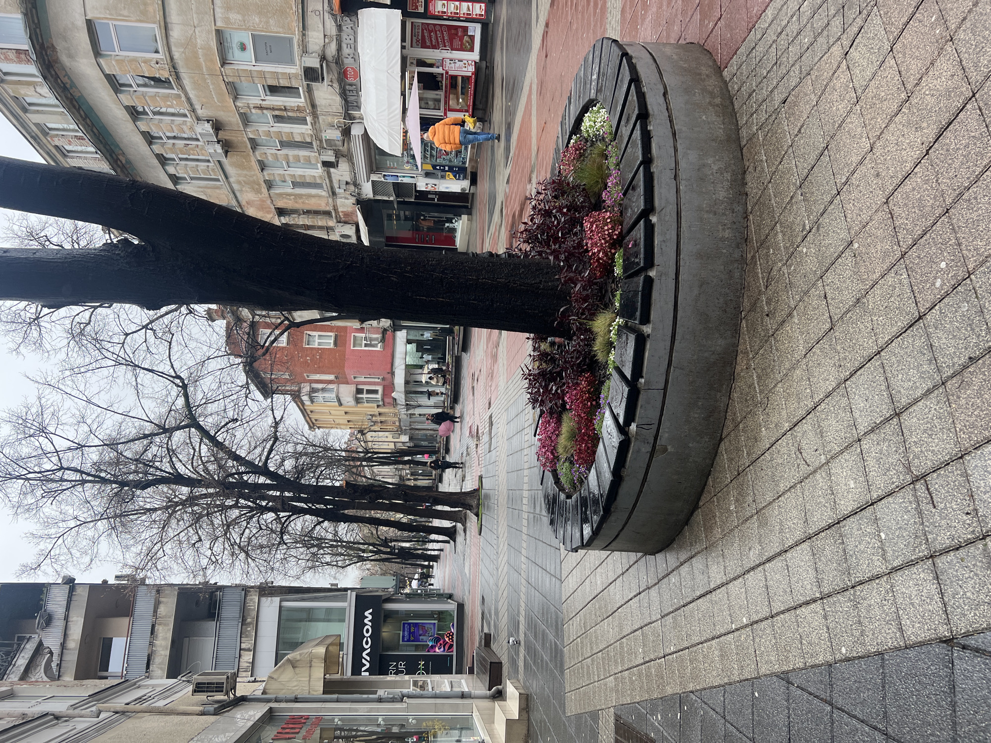The image shows a street scene in Plovdiv, Bulgaria, featuring a tree with a circular planter and bench surrounding its base. The planter contains a mix of red, purple, and white flowers. The street is paved with gray and pinkish-red interlocking blocks and appears wet, suggesting recent rain. The buildings lining the street are a mix of styles, with shops and commercial establishments on the ground floor and residential or office spaces above. Bare trees line the left side of the street. A man in a yellow jacket walks away from the camera in the background. Other indistinct figures are further down the street under umbrellas. Street furniture, including a bench, is visible. The overall ambiance suggests a typical urban environment in overcast weather.