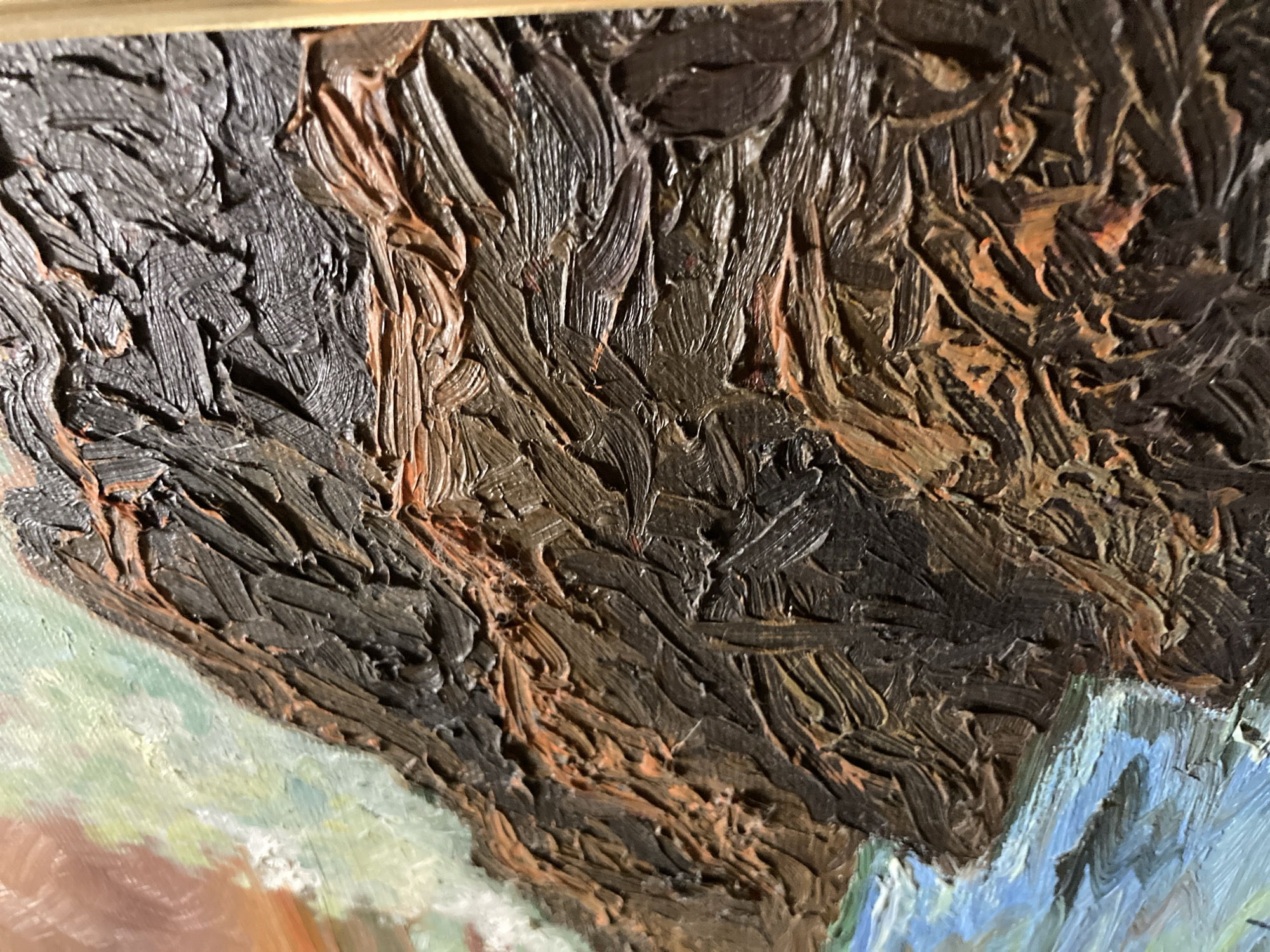 This is a close-up photograph of a painting, focusing on the texture and brushstrokes of the artwork. The painting appears to be an oil painting, characterized by thick impasto application of paint, creating a highly textured surface with visible brush marks.
The subjects are not clearly discernible due to the extreme close-up, but the colors suggest a potential depiction of a natural scene or possibly a portrait with rich, earthy tones. Dominant colors include dark browns, grays, and blacks, with accents of burnt orange and lighter green and blue tones peeking through in some areas. The textures are varied, with some areas showing fine, linear strokes and others featuring broader, more chaotic applications of paint.
The lighting in the photograph highlights the three-dimensionality of the paint, creating shadows that emphasize the raised brushstrokes. The overall impression is one of vigorous and expressive painting technique. There is no discernible text in the image. Given the context of Sabadell, Spain, the painting could be a landscape, cityscape, or still life that reflects the local environment or artistic traditions of the region, though this cannot be confirmed from the image alone.