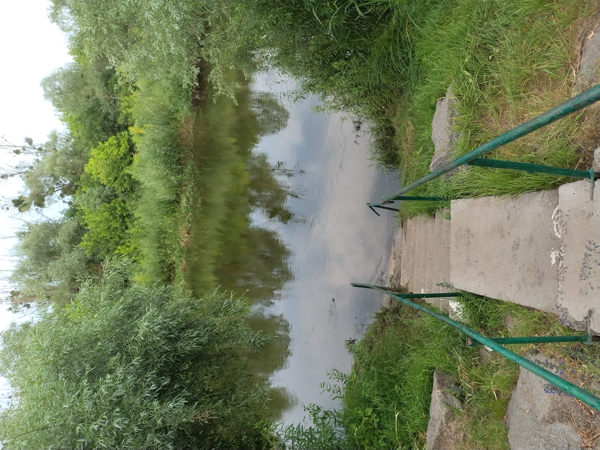 This media file depicts a descending concrete staircase with a green metal handrail, leading down to the edge of a calm river. Lush green foliage, including trees and tall grass, lines the banks of the river, creating a natural, verdant setting. The water reflects the surrounding greenery and the overcast sky, suggesting a cloudy day. The scene appears to be outdoors, likely in a park or natural area, given the abundance of plant life. The staircase and handrail indicate that this is a place accessible to people, possibly for recreation or to reach the water. No people are visible in the frame, and there is no visible text. The overall impression is one of a serene, natural environment with man-made access points. The location context of Ivankiv, Ukraine, places this scene within a specific geographical region known for its natural landscapes.