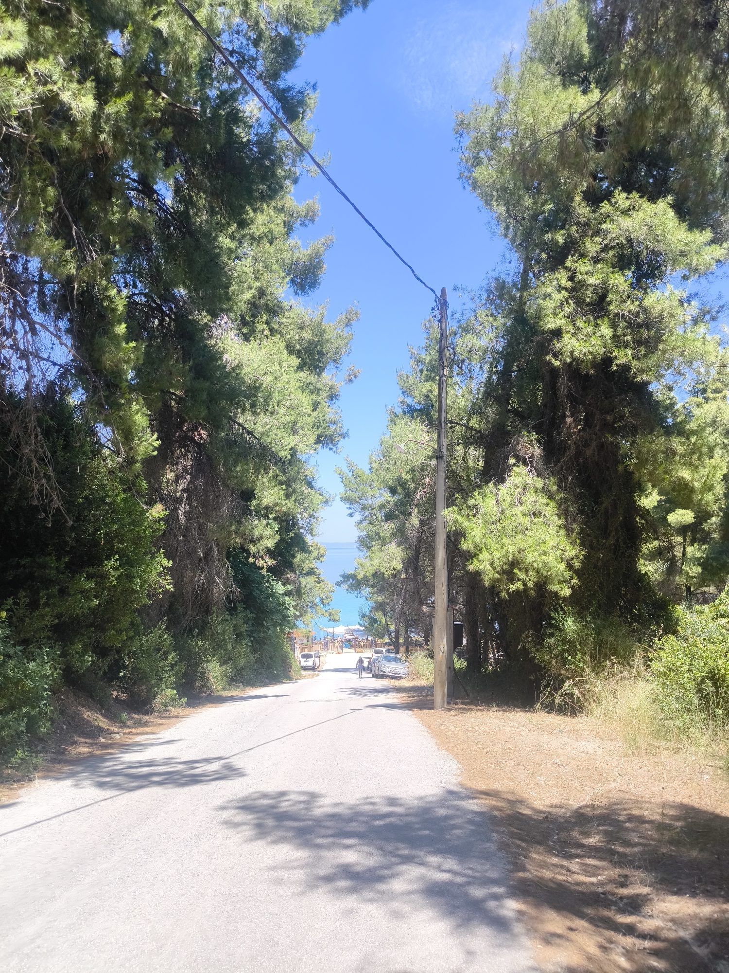 The image shows a paved road lined by tall green pine trees on either side, creating a tunnel-like effect. The road leads towards a bright blue sky and a glimpse of a body of water, likely the sea, in the distance. The sun is shining brightly, casting dappled shadows from the trees onto the road, suggesting it is daytime.
There are a few vehicles parked on the side of the road near where it opens up to the water. One white car is visible, and further down the road, a few more vehicles and some beach umbrellas indicate a beach or seaside area. A couple of people are walking on the road, heading towards the water. A utility pole stands on the right side of the road, with wires extending across the frame. The vegetation appears lush and green, with some dry grasses also visible on the right side of the road. The overall impression is a sunny and pleasant day in a natural, coastal setting.