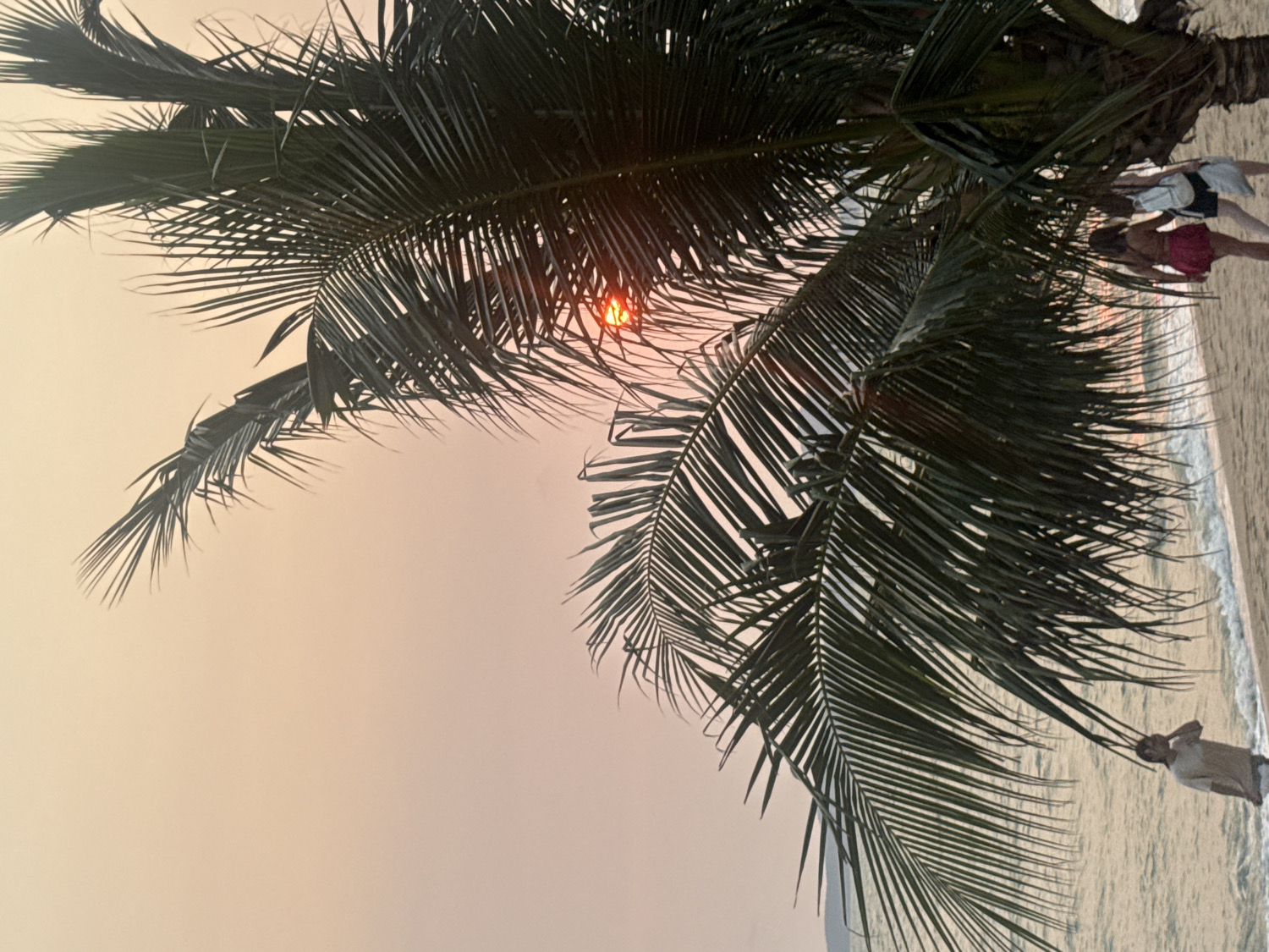 The image captures a serene beach scene during either sunrise or sunset, set in Pattaya City, Thailand. The primary subject is a large palm tree, its dark green fronds prominently positioned across the top and left of the frame, silhouetted against the warm sky. The sun, a bright orange-red orb, is partially visible through a gap in the palm fronds in the upper left, casting a soft, hazy, peach-orange glow across the entire sky.
To the right, a sandy beach stretches into the distance, meeting the calm, incoming waves of the ocean. The water shows gentle ripples as it washes onto the shore. Several people are visible on the beach. In the mid-right, a group of three individuals, appearing to be adults and possibly a child, stand near the water's edge. Further down the beach towards the lower right corner, another lone individual stands by the ocean. All appear to be casually dressed, enjoying the coastal environment.
The time of day is clearly indicated by the low sun and the golden, diffused light, suggesting a tranquil moment at either dusk or dawn. The overall atmosphere is calm and peaceful, typical of a relaxing beach setting. There is no discernible text visible in the image.
