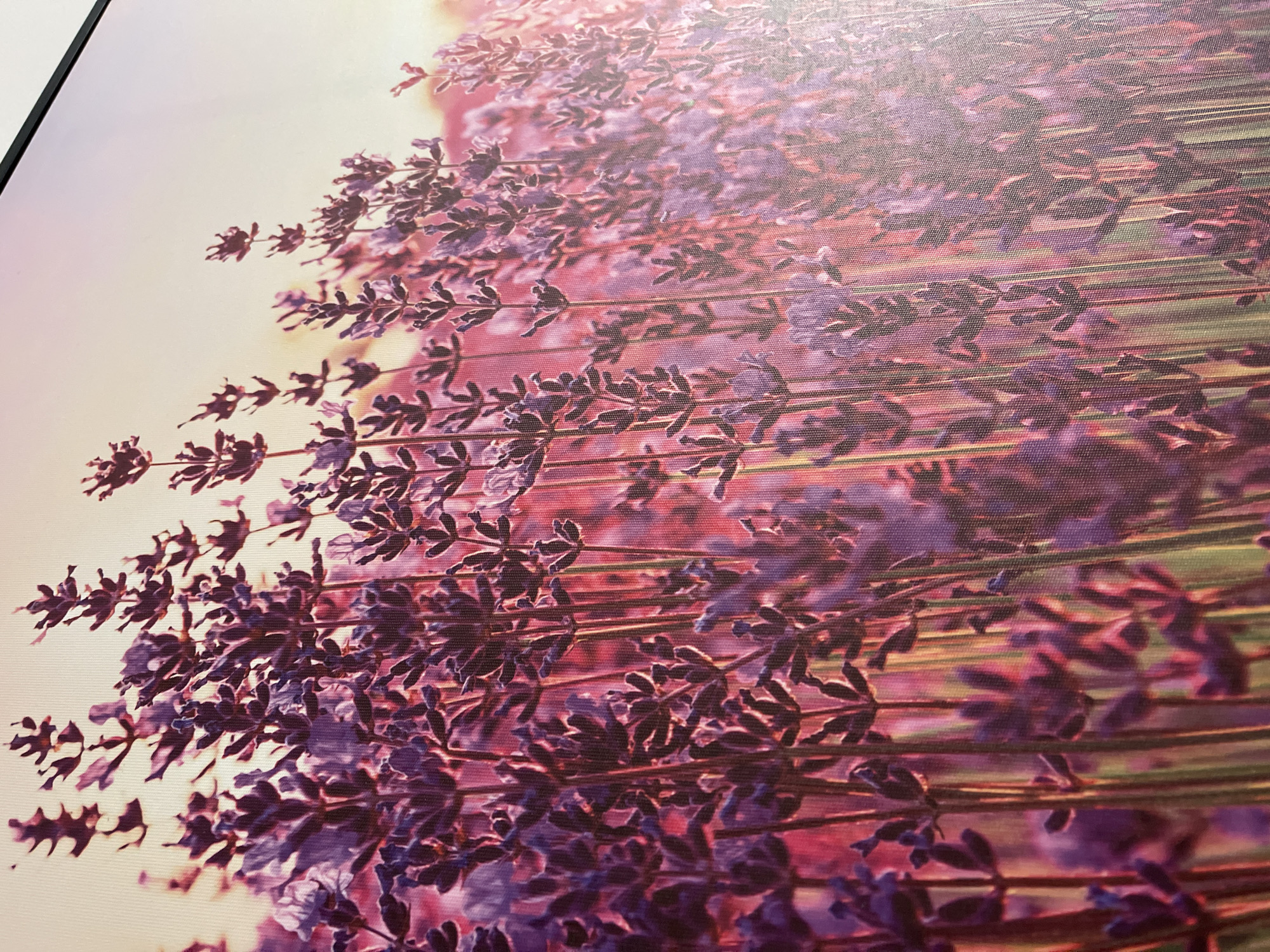 The image is a close-up, angled shot of a printed canvas or fabric depicting a field of lavender. The lavender stalks and blooms are a deep purple, with some appearing to be in sharp focus while others are blurred, creating a sense of depth. The background is a soft, warm gradient of pink and yellow, suggesting a sunset or sunrise. The texture of the canvas is visible, with a fine woven pattern throughout the image. The top right corner of the image shows a sliver of a black frame, indicating it is likely a piece of wall art. There are no people, animals, or other objects present in the scene. There is no identifiable location in the city of Podgorica, Montenegro, visible in this image.