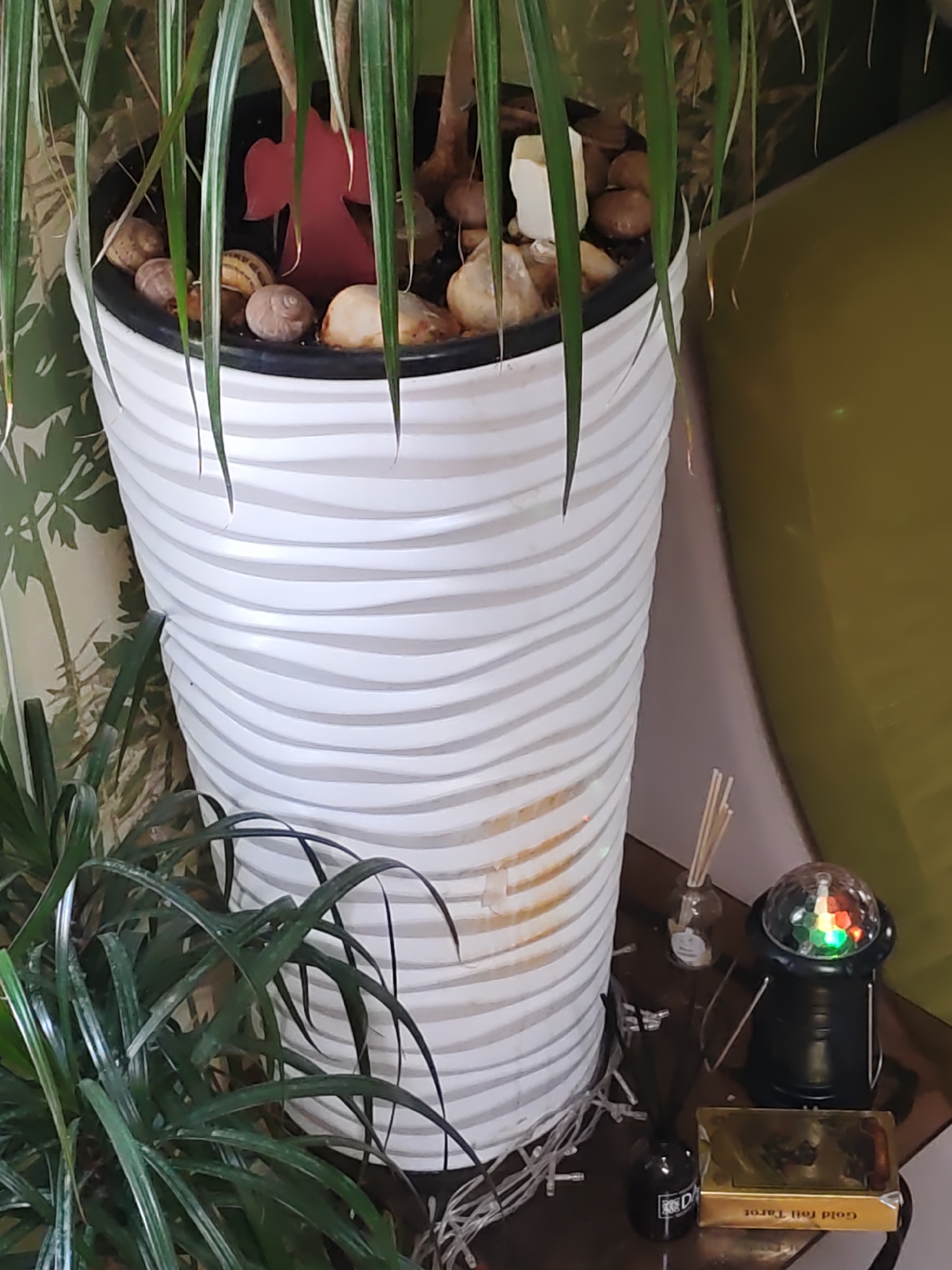 A large, white, ribbed planter holding a plant with long, green, drooping leaves is the central focus. The soil in the planter is covered with pebbles and a red, angel-shaped ornament is visible. To the right of the planter, on a dark surface, are several objects including a small bottle with reeds, a miniature disco ball light, and a gold-colored box with text that appears to read "Gold foil Tarot." The background consists of a wall with a green leaf-patterned wallpaper. The scene appears to be indoors, possibly in a domestic setting. The city of Rostov-on-Don, Russia, is not discernible from the visual information provided in the image.