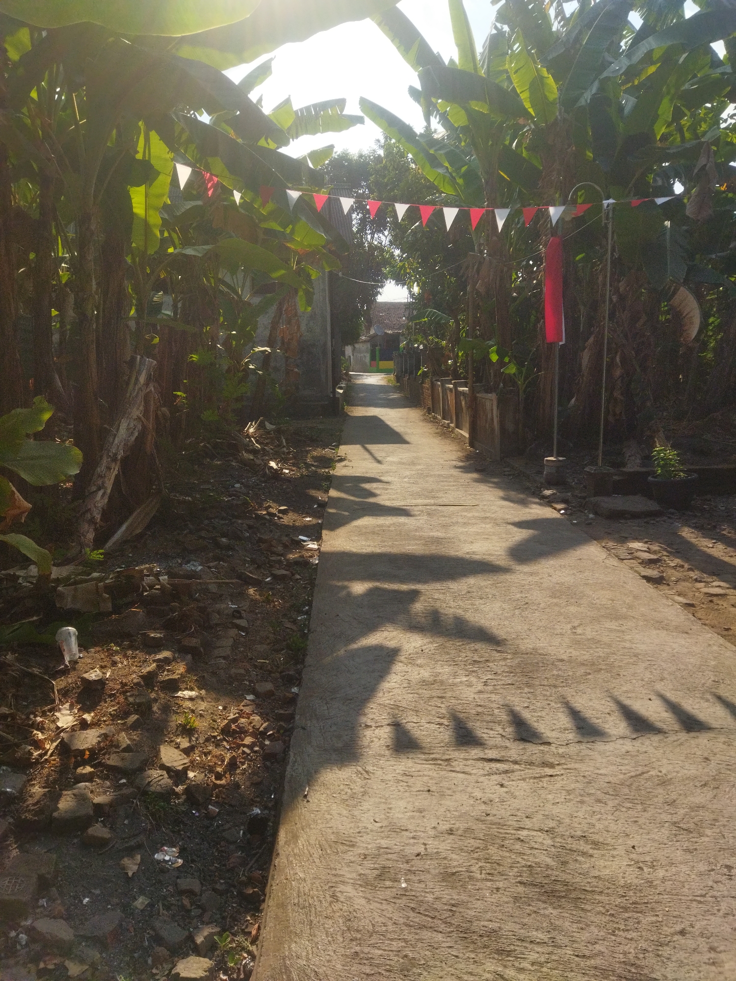 The image depicts a concrete pathway in what appears to be a rural or semi-rural area of Juwiring, Indonesia, lined with banana trees. A string of red and white triangular flags is strung overhead, suggesting a celebratory or festive occasion. The pathway is casting long shadows from the flags and trees, indicating the presence of strong sunlight. The ground on either side of the pathway is unpaved, with a mixture of soil, debris, and some vegetation. In the distance, buildings with tiled roofs are visible, further contextualizing the location within a populated area. No people are visible in the image. The scene conveys a sense of community and local culture, possibly related to a national holiday given the red and white colors of the flags.