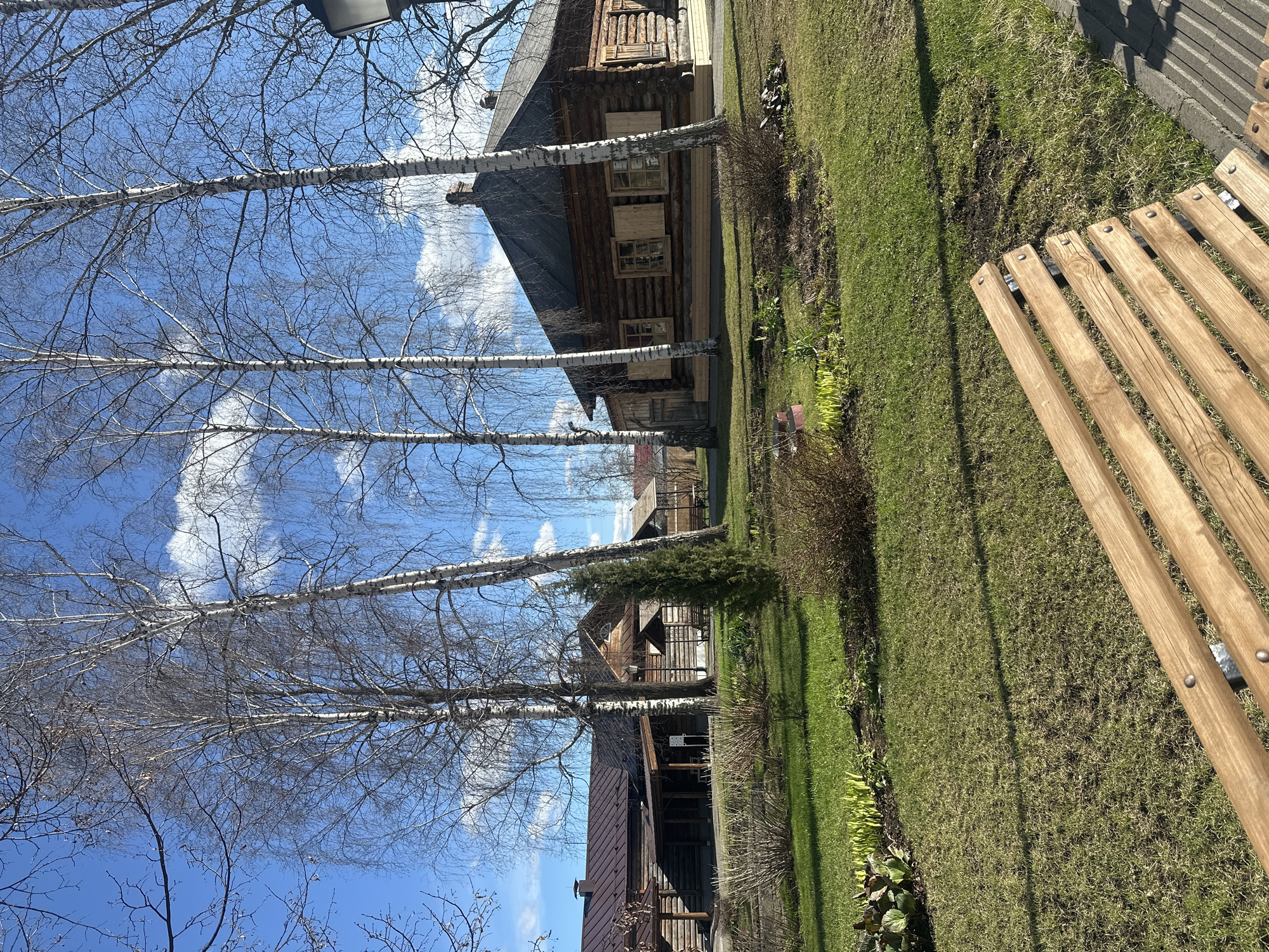 The image depicts a row of traditional log houses in an outdoor setting, likely a historical or cultural park. Thin, bare birch trees line the path in front of the houses, reaching towards a blue sky with scattered clouds. A wooden bench sits on the grassy lawn to the right of the frame. The scene evokes a sense of historical preservation and natural beauty. The location is Votkinsk, Russia.
