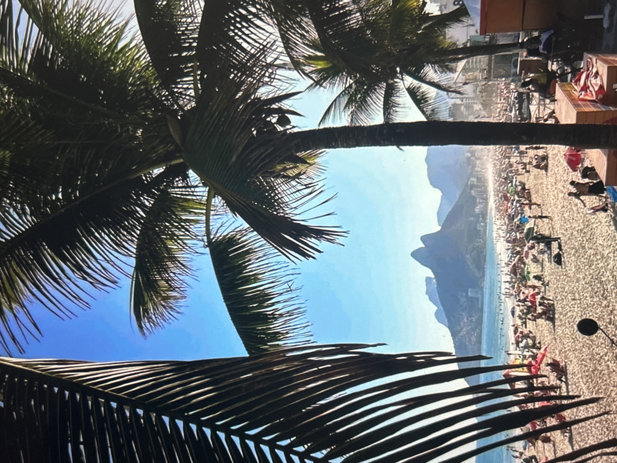 This media file shows a crowded beach scene with palm trees in the foreground. The beach is filled with people relaxing, sunbathing, and enjoying the day. There are many colorful umbrellas scattered across the sand, providing shade. The ocean is visible in the background, and a mountain range rises behind it. The sky is a clear blue, suggesting a sunny day. The time of day appears to be midday or early afternoon, given the bright sunlight and the shadows cast by the palm trees and umbrellas. The overall atmosphere seems to be one of leisure and enjoyment. The image has a slightly grainy quality, which might suggest it was taken with a film camera or has been digitally processed. There are no visible text elements in the image.