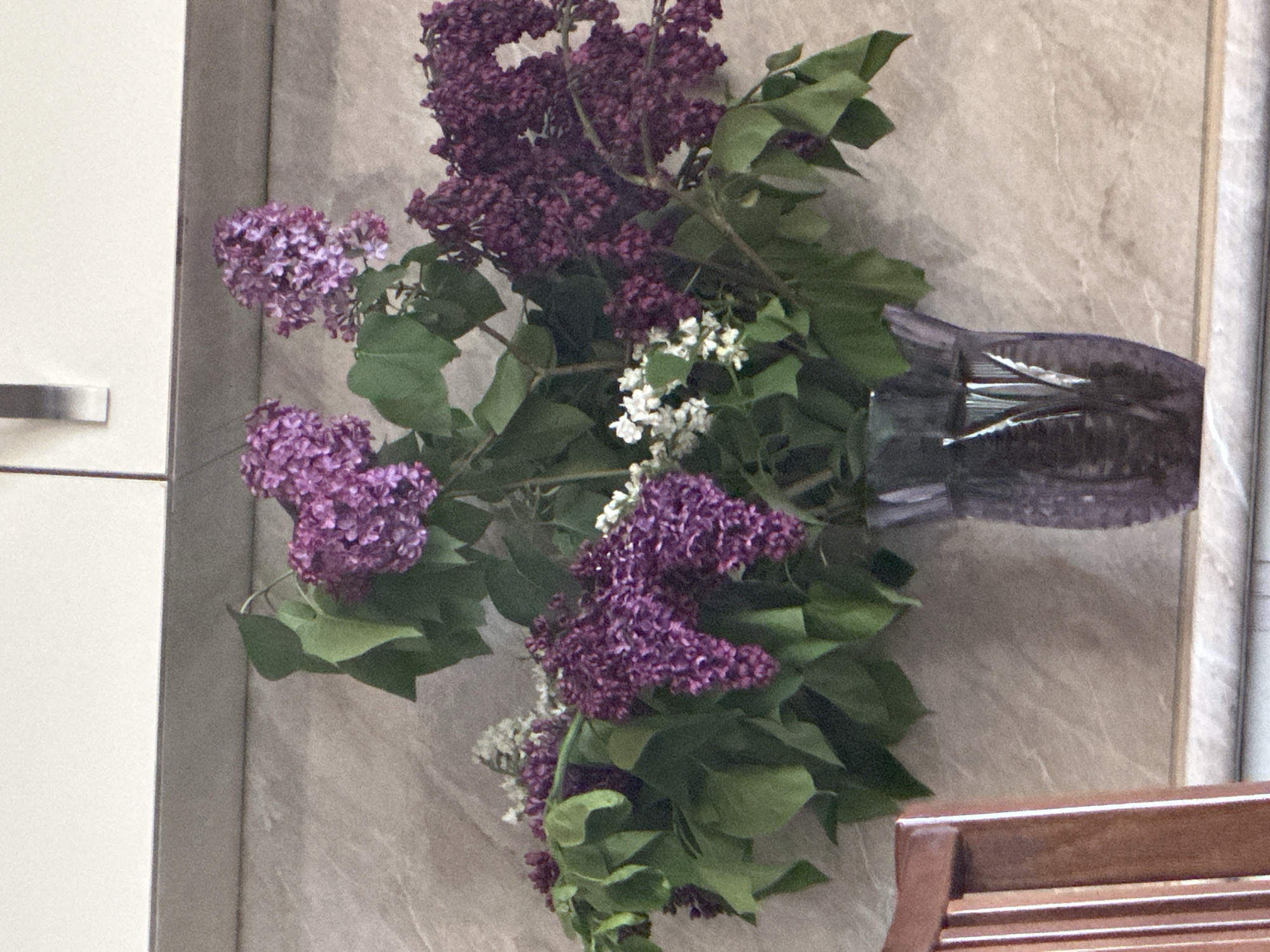 The image displays a vibrant bouquet of lilac flowers arranged in a vase, set against an indoor backdrop. The flowers are primarily various shades of purple, ranging from deep violet to lighter lavender, with several clusters of white blossoms nestled among the green leaves. The leaves are a rich green, providing a contrast to the colorful flowers.
The flowers are held in a dark-colored vase, which appears to be reflective, showing subtle highlights and dark tones. This vase is positioned towards the right side of the frame. The background behind the bouquet is a light beige or off-white wall with a subtle textured or marbled pattern.
On the far left side of the image, a section of a light-colored cabinet or piece of furniture is visible, featuring a horizontal silver handle. In the bottom right corner, a portion of a wooden object, possibly a chair or table, with horizontal slats is present. The overall lighting suggests a daytime setting, illuminating the bouquet clearly. The scene evokes a domestic and decorative atmosphere. No visible text is present in the image.