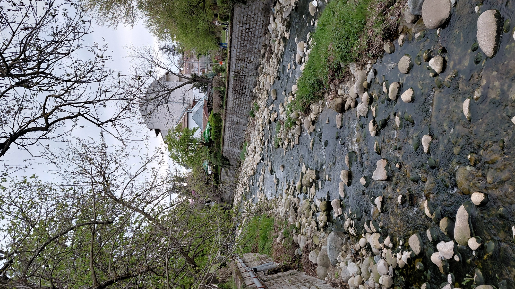 The image depicts a shallow, rocky stream flowing through an urban environment. The stream bed is filled with various sizes of rounded rocks and some patches of green algae or moss. Water flows between the rocks. The stream is bordered on both sides by low stone walls. On the left side, trees with bare branches and some with fresh green growth are visible. A building with a white roof is partially visible behind the trees. On the right side, grass and other greenery grow along the edge of the stream. The sky is overcast. The location is assumed to be in a city, given the buildings and stone walls. The specific city and region are unknown.