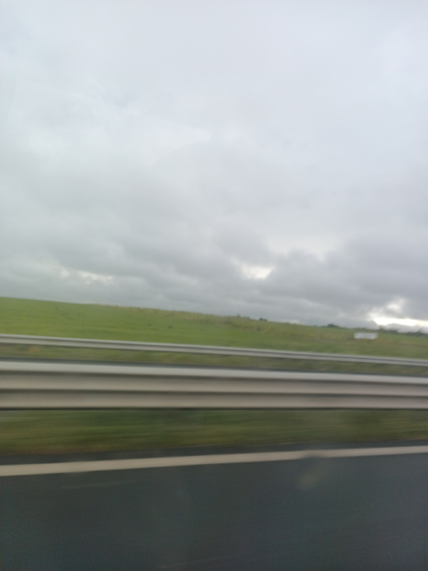 The image captures a motion-blurred view from inside a moving vehicle, likely traveling on a highway, during an overcast day. In the immediate foreground, a dark asphalt road surface with a faint white lane marking is visible, horizontally streaked due to movement. Above the road, a silver, multi-barred metal guardrail extends across the mid-ground, also showing significant horizontal blurring.
Beyond the guardrail, a sprawling, gently rolling green field or hillside dominates the landscape, stretching towards the horizon. The vibrant green suggests a fertile or well-maintained area. In the far distance on the right, a small, indistinct white object, possibly a building or sign, can be faintly discerned against the green backdrop.
The sky, which occupies the upper half of the frame, is entirely covered by thick, light grey clouds, indicating heavily overcast weather with no direct sunlight. The overall impression is one of travel through an open, rural, or semi-rural environment under a soft, diffused natural light. There are no people visible, and no discernible text appears anywhere in the image.