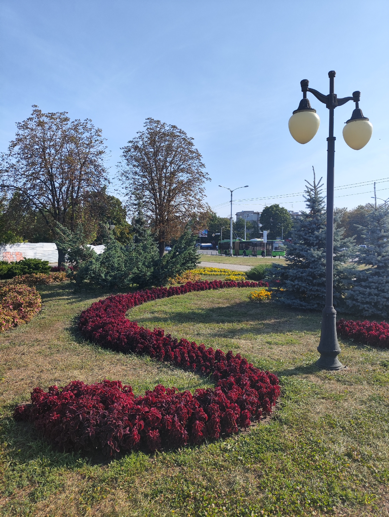 The image depicts a bright, sunny day in a park or public space in Kharkiv, Ukraine. A black lamppost with two cream-colored lamps stands prominently in the foreground on the right. In front of the lamppost, a curved flowerbed filled with dark red, leafy plants forms a winding pattern. Behind this, other flowerbeds with yellow and red flowers are visible, bordered by green shrubs and trees. Further in the background, several tall evergreen trees, likely fir or spruce, are interspersed with deciduous trees showing autumnal colors. Beyond the greenery, urban elements are present, including buildings, trolleybus wires, and two green trolleybuses on a street. The sky is clear blue.