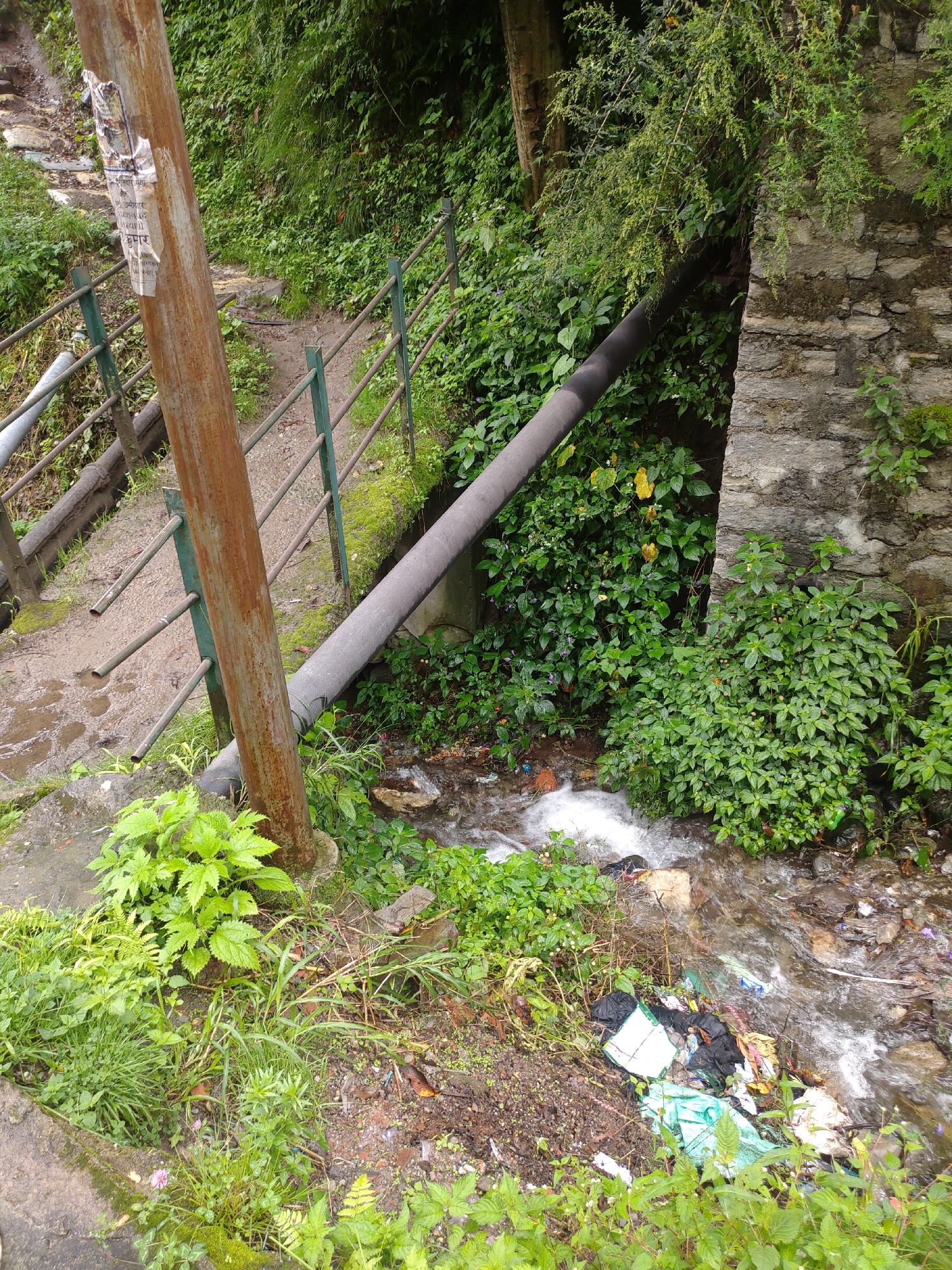 This image captures a scene in Manali, India, likely near a mountain stream. A large, dark pipe runs diagonally across the frame, supported by a stone wall on the right and disappearing into greenery on the left. Below the pipe, a shallow, rocky stream flows, carrying some debris, including plastic bags and other refuse, along its course. Lush green vegetation, characteristic of a mountain environment, covers the slopes and surrounds the stream. To the left of the stream, a worn, rusty metal post stands next to a pathway bordered by a metal railing. The pathway appears to be made of dirt and gravel, with some wet patches suggesting recent rain. In the foreground, dense green foliage grows abundantly. The overall impression is one of a natural, rugged landscape affected by human infrastructure and unfortunately, litter.