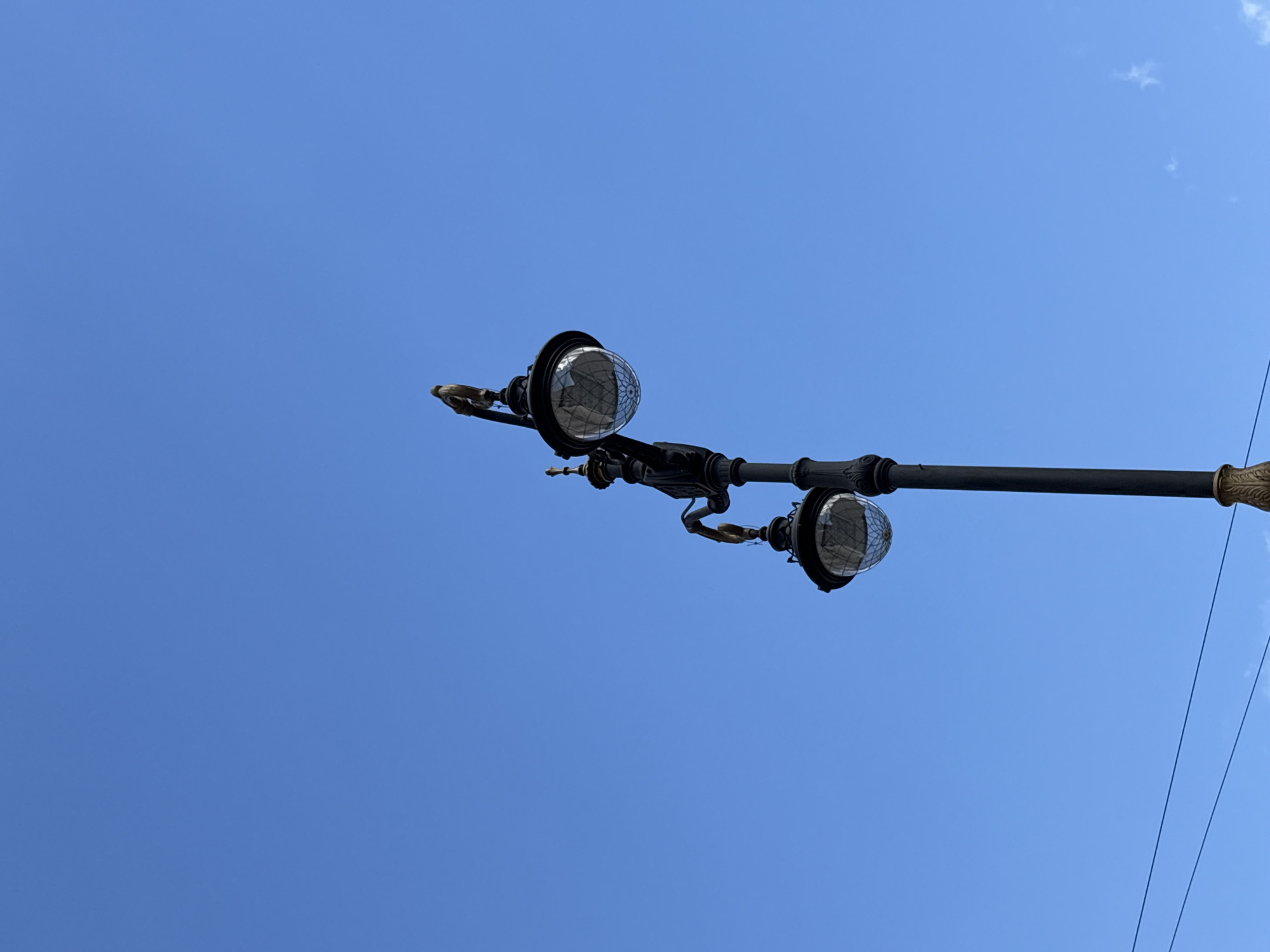 A black, ornate lamppost with two glass globes stands against a clear blue sky. A bird is perched on top of the upper globe. The lamppost is located on Palace Square in Saint Petersburg, Russia. The ground is not visible in the image.