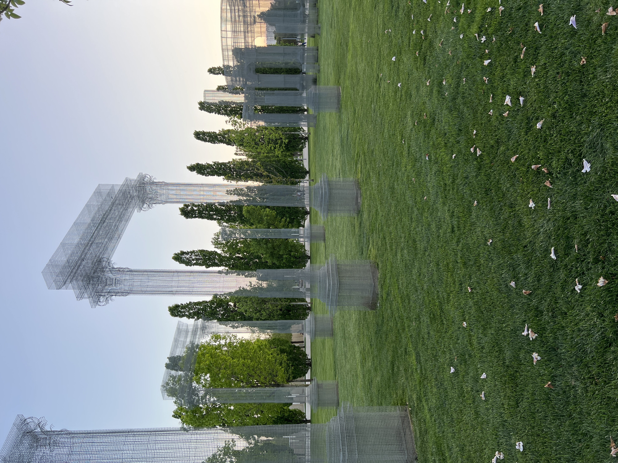 The image depicts a park scene in Krasnodar, Russia, featuring architectural art installations resembling classical columns constructed from wire mesh. These structures are arranged in a line across a grassy field. Small trees and shrubs are interspersed among the columns. The grass is green and dotted with fallen leaves or petals. The sky is light blue, suggesting either early morning or late afternoon light. No people are visible in the image. The installations and landscape suggest a deliberate artistic arrangement.