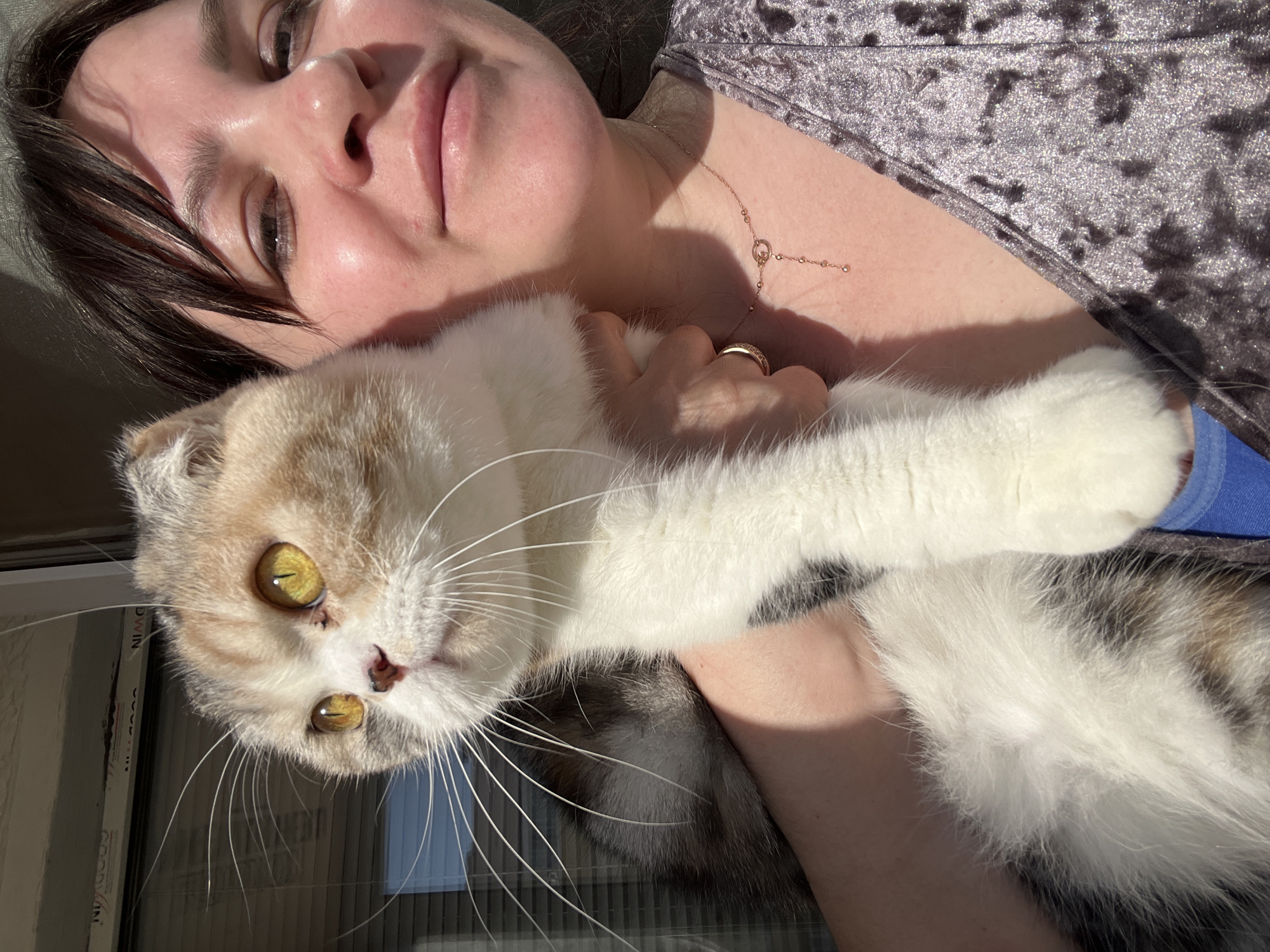 A woman is holding a cat. The woman has fair skin, dark hair with bangs, and is wearing a ring and a necklace. She is wearing a gray shirt. The cat is a Scottish Fold with white, tan, and gray fur and bright yellow eyes. The background includes a window. The location is not determinable from the image.