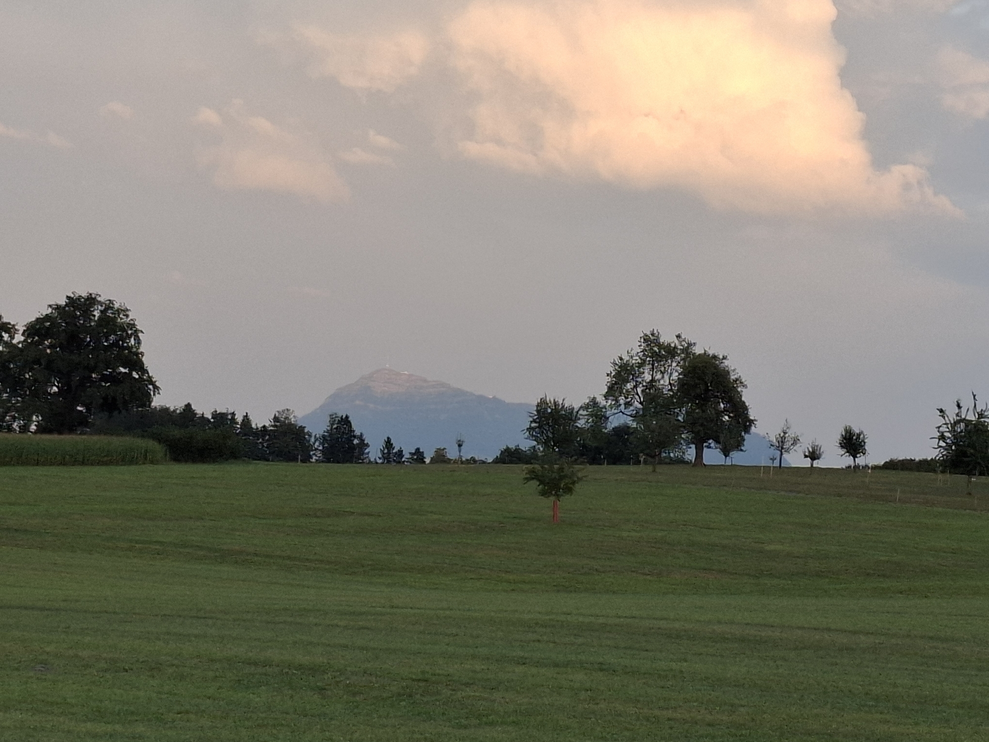 The image depicts a serene landscape with a rolling green meadow in the foreground. In the mid-ground, a line of trees separates the meadow from a distant mountain range. The sky is partly cloudy, with a large, soft cloud illuminated by warm, pastel light, suggesting either sunrise or sunset. A lone, slender tree with a bright orange stake is visible in the center of the meadow. The mountain in the background has a distinct peak with a small structure, possibly a tower or antenna, at its summit. The overall impression is one of peaceful rural tranquility. This scene is characteristic of the landscape found in the municipality of Eschenbach, located in the canton of Lucerne, Switzerland, known for its picturesque hills and valleys.