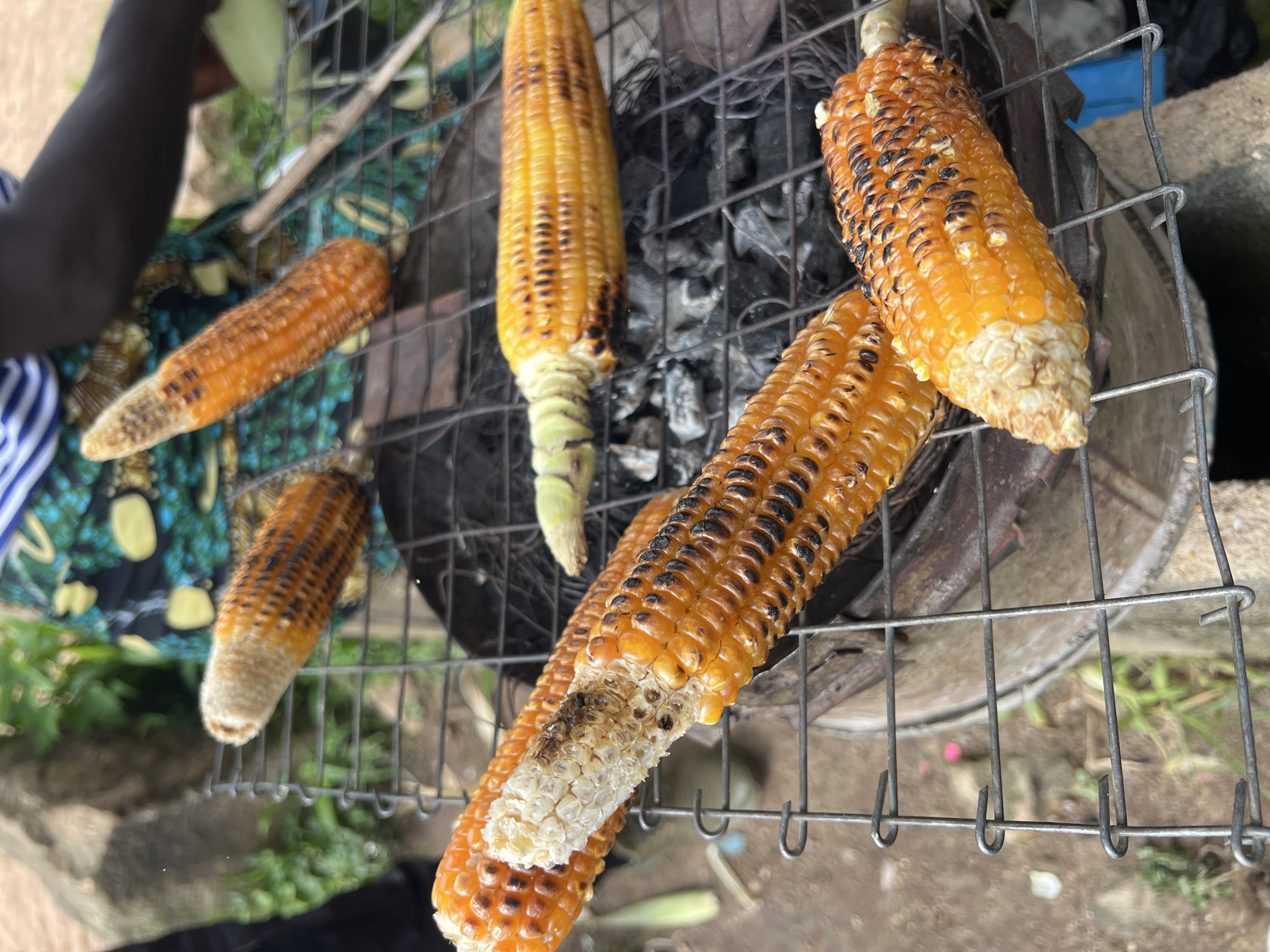 The image depicts a close-up view of several ears of corn being grilled over hot coals. The corn is golden yellow with some kernels showing char marks from the grilling process. The corn is arranged on a metal grill rack, with some ears positioned horizontally and others at an angle. In the background, a person wearing a colorful patterned fabric is partially visible, suggesting a market or outdoor food stall setting. The environment appears to be outdoors with some greenery and dirt visible. The overall scene is consistent with a street food vendor preparing grilled corn.