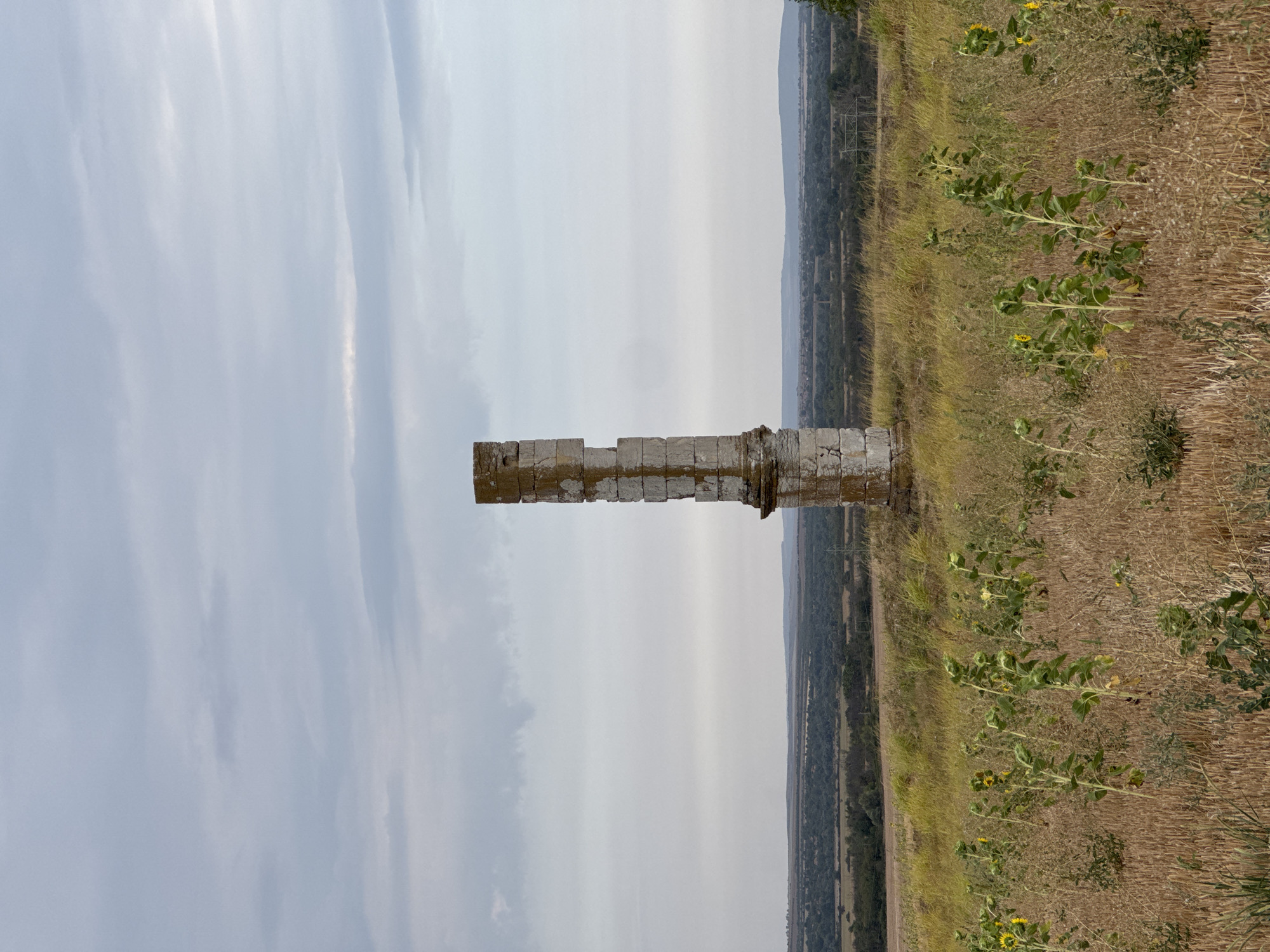 An ancient, weathered stone monument, likely a column remnant, stands tall in the foreground of a rural landscape. The monument is made of rectangular stone blocks, showing signs of age and erosion, with some moss or lichen growth. It is situated on a slight incline, with a field of dry, golden stubble and scattered green vegetation, including several sunflowers, in front of it.
Beyond the immediate field, the landscape stretches out to a distant horizon. A dark green, undulating line of trees forms the middle ground, suggesting a wooded area or forest. Further in the distance, a hazy, muted landscape with faint hints of structures and vegetation extends to the horizon under an overcast, pale sky with soft, grey clouds. The scene appears to be located in or near the village of Lesicheri, Bulgaria, given the characteristic rural setting. There are no people or animals visible in the image. The overall impression is one of historical preservation in a natural, serene environment.