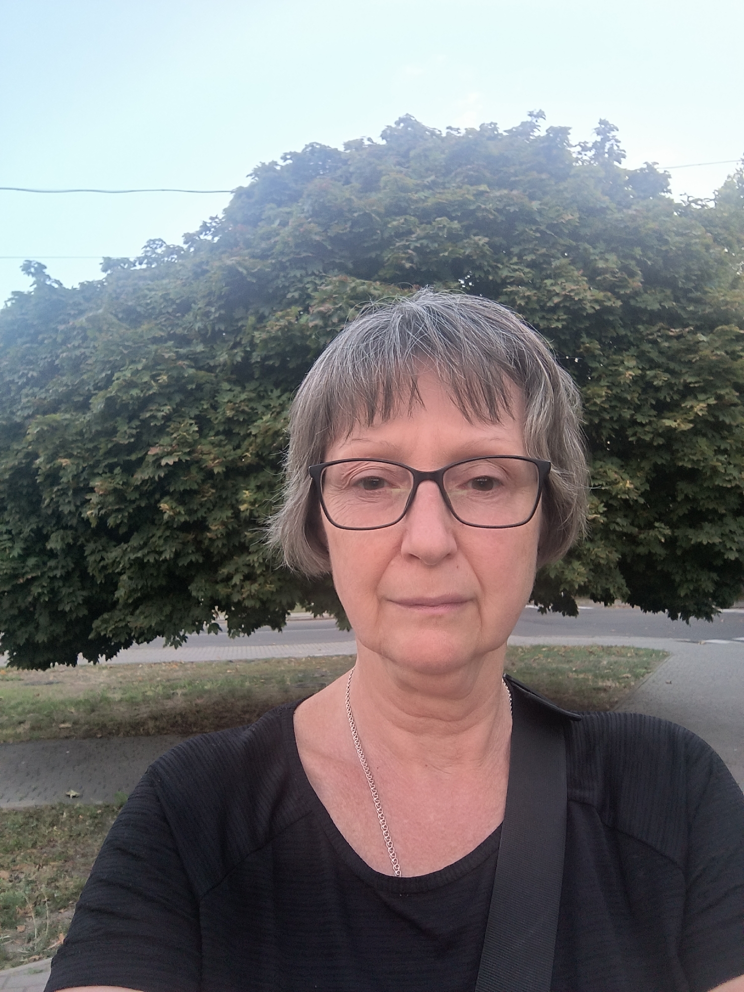 A selfie of a woman with short gray hair and glasses is taken outdoors. She is wearing a black shirt and a silver necklace. Behind her, a large green tree and a clear sky are visible. The woman appears to be standing on a sidewalk or pathway, with a road visible in the background. The image is likely taken in a park or residential area.