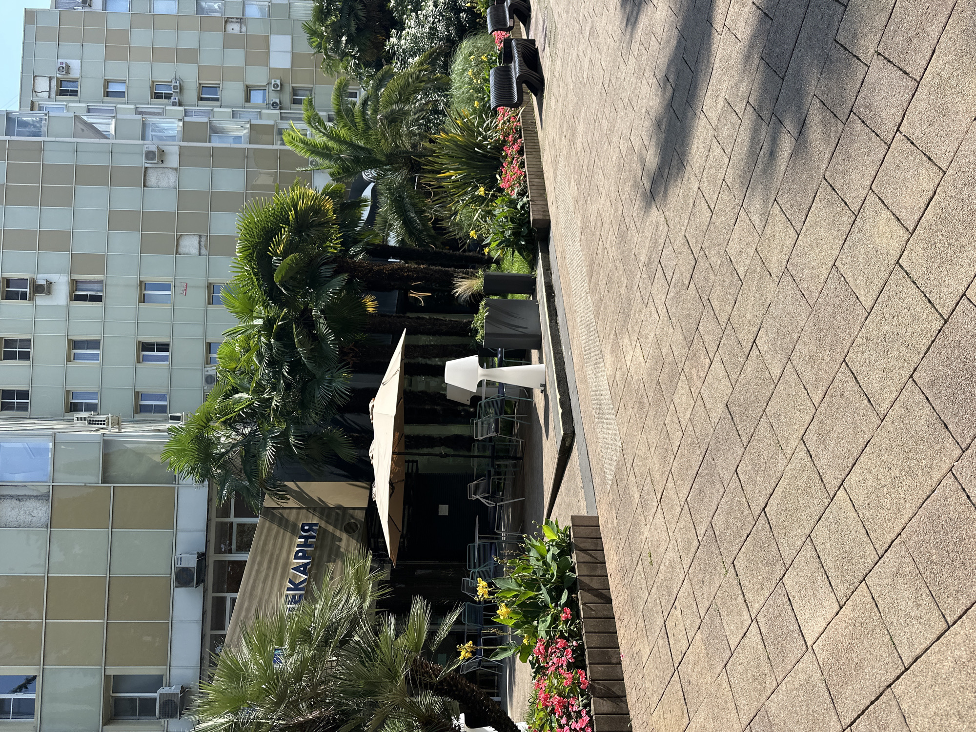 The image depicts a street-level view of a commercial establishment in Sochi, Russia. A building with a facade of alternating light green and beige panels, featuring numerous windows and air conditioning units, serves as the backdrop. In the foreground, a paved walkway with a pattern of rectangular tan bricks leads towards the establishment. To the left, palm trees and lush greenery frame the entrance of the business, which has a sign with Cyrillic lettering reading "ЛЕКАРНЯ" (Lekarnya), indicating it is a pharmacy. Outdoor seating with tables and chairs, shaded by a large beige umbrella, is visible in front of the pharmacy. A white modern lamp and planters with colorful flowers, including pink and yellow blooms, add to the ambiance. To the right, two black, modern-designed benches are positioned along the walkway, with more greenery and palm trees in the background. The scene is bathed in sunlight, casting shadows on the paved area. There are no people visible in the image.