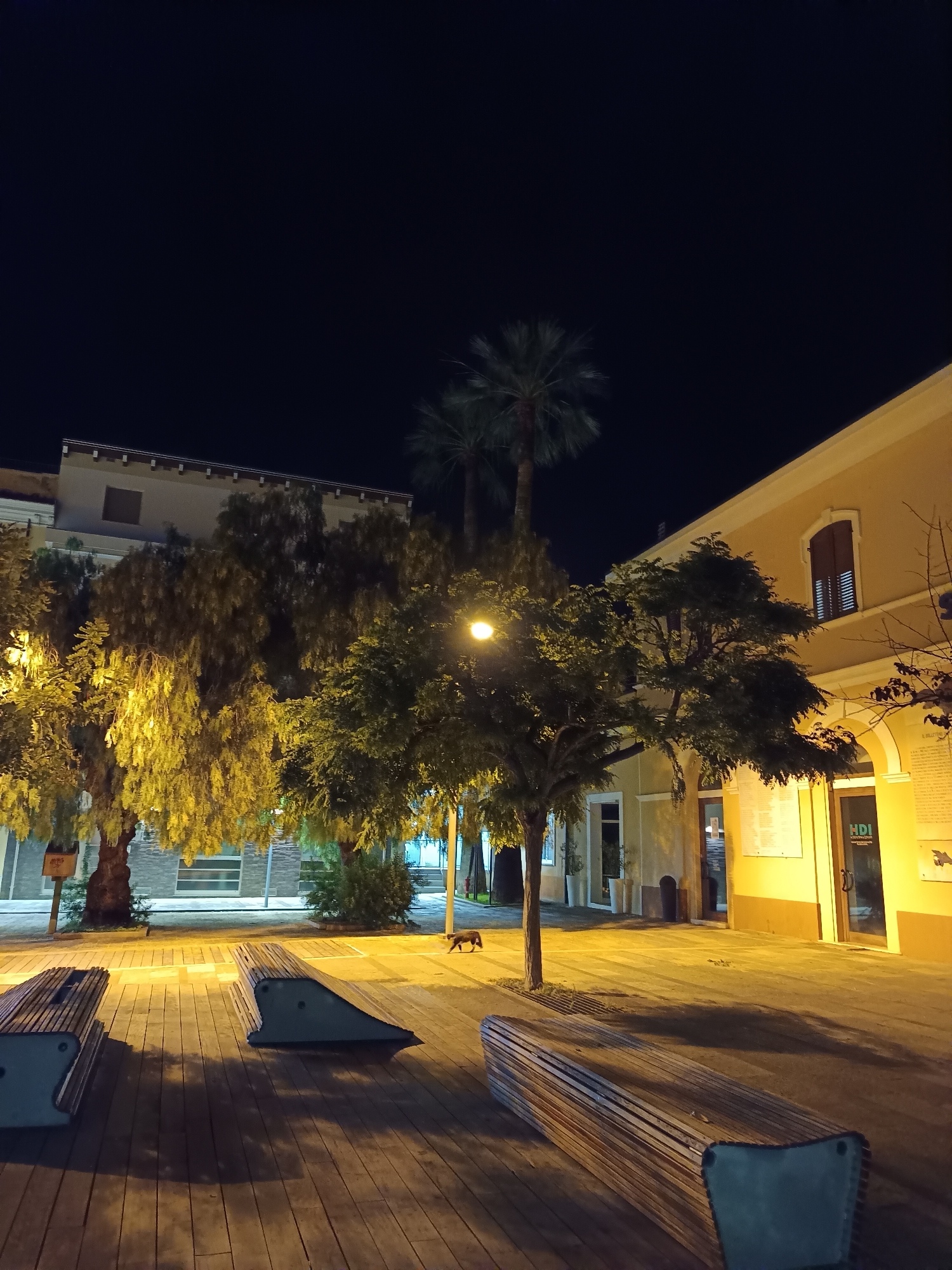 At night, the scene depicts a public square in Roseto degli Abruzzi, Italy, illuminated by artificial lighting. Two modern, wooden benches with metal supports are positioned on a wooden deck. In the mid-ground, a small, dark-colored dog is walking away from the camera towards the right. Behind the benches and dog, several trees are visible, some with yellow-toned foliage from the lighting. To the right, a light-yellow building with arched doorways and windows stands, featuring signage that includes "HDI Assicurazioni". Two palm trees are also present in the background. The overall environment appears to be an urban outdoor space.