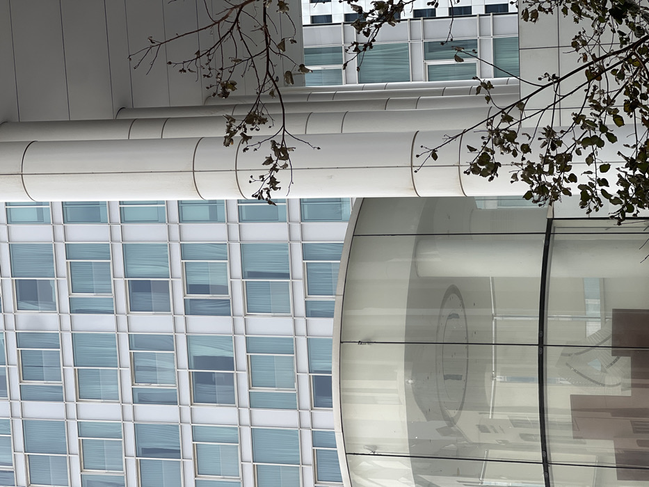 The image displays a contemporary urban architectural scene in Tel-Aviv, Israel. A multi-story building occupies the background, characterized by a white grid-patterned facade containing numerous rectangular windows, many featuring light-toned interior curtains. In the midground, a set of white, paneled cylindrical columns rise vertically, supporting an overhead structure. To the left, a two-story curved glass facade, forming a circular or semi-circular structure, reflects interior architectural elements including a matching cylindrical column and an overhead ring-light fixture. A tree branch with sparse, dark green and brown leaves partially obstructs the lower-right portion of the frame. No individuals, vehicles, or specific actions are visible within the scene.