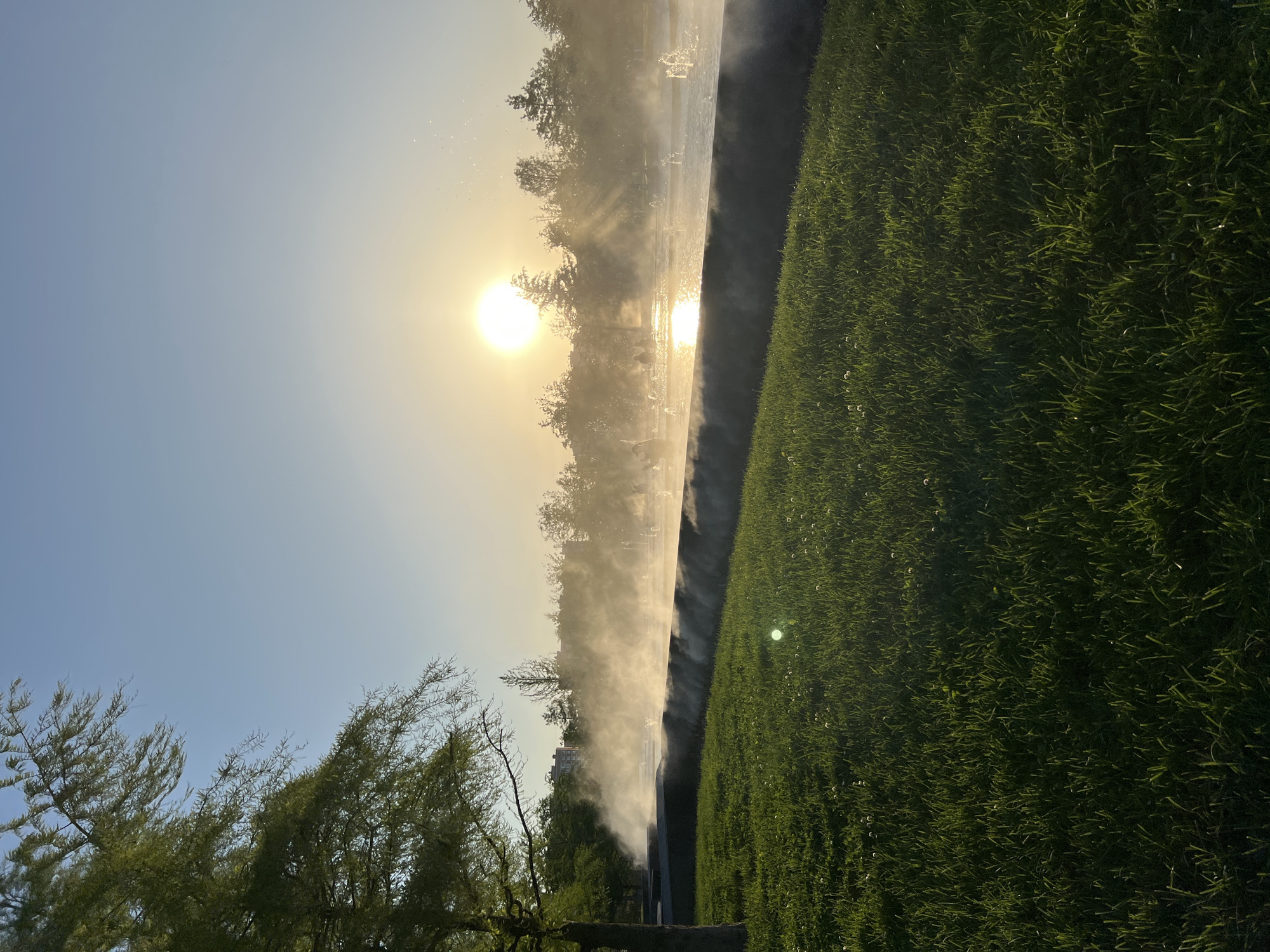 The image captures a park scene in Krasnodar, Russia, during early morning or late afternoon as evidenced by the low sun. The central visual element is a line of water sprinklers creating a dense mist that obscures the background. To the right of the sprinklers, there is well-maintained green grass. To the left, a building is partially visible through the mist. In the foreground, there is a tree. The sun is positioned above the mist, creating a bright glare and reflecting on the water. The sky is a gradient from blue to a warm yellow-white near the sun.