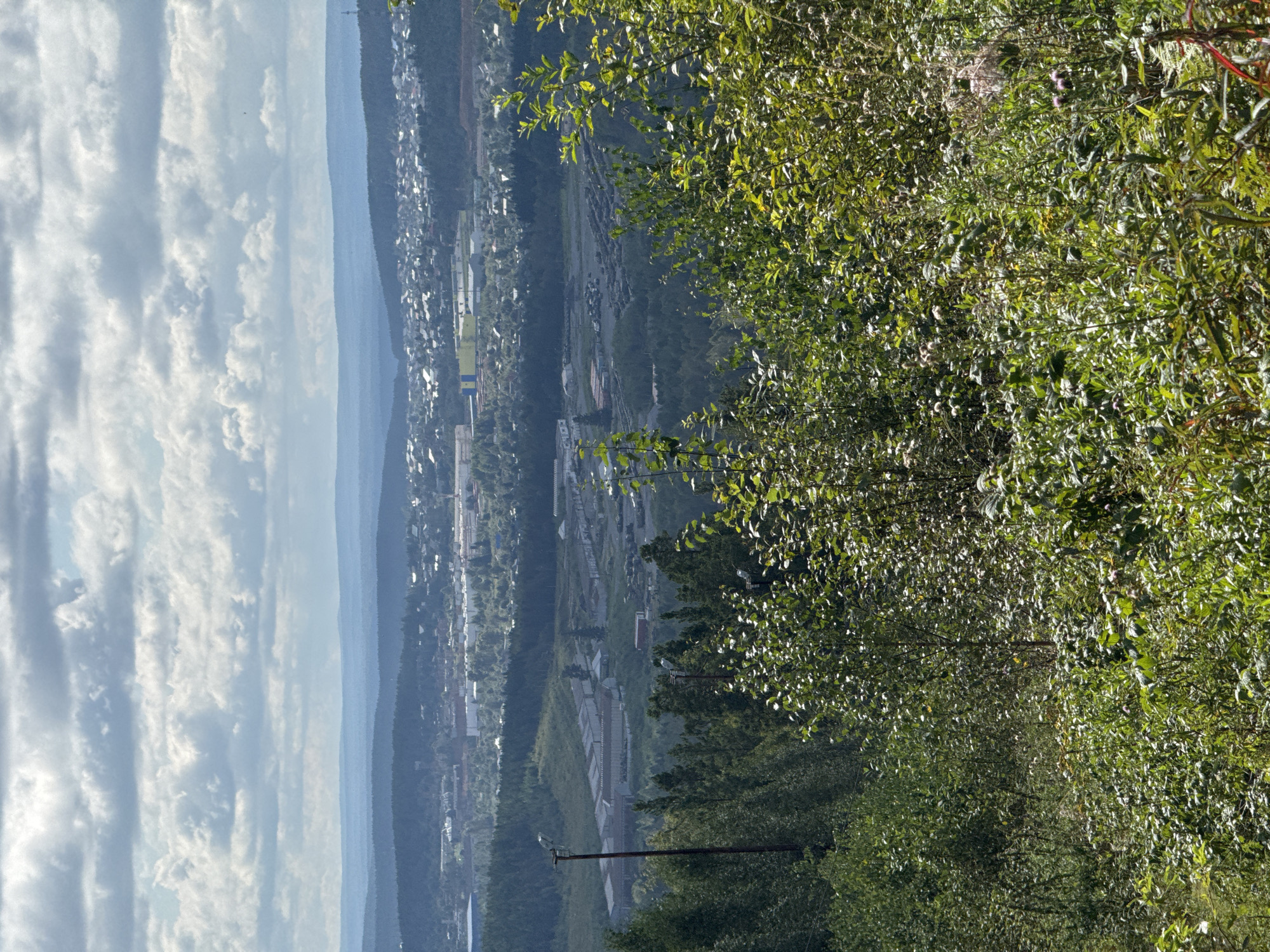 The image presents a panoramic view from an elevated position, overlooking a city nestled amidst rolling hills and forested areas. The foreground is dominated by lush green foliage and vegetation, including trees and bushes. In the middle ground, there is a visible industrial area with several large buildings and what appears to be a storage yard. Beyond the industrial zone, the city of Revda, Russia, is spread out with numerous houses and buildings, extending towards the horizon. The background features layers of hills fading into the distance, and a sky filled with a mix of clouds and clear patches. The overall impression is that of a city integrated with its natural and industrial surroundings, viewed on a clear day under a partly cloudy sky.