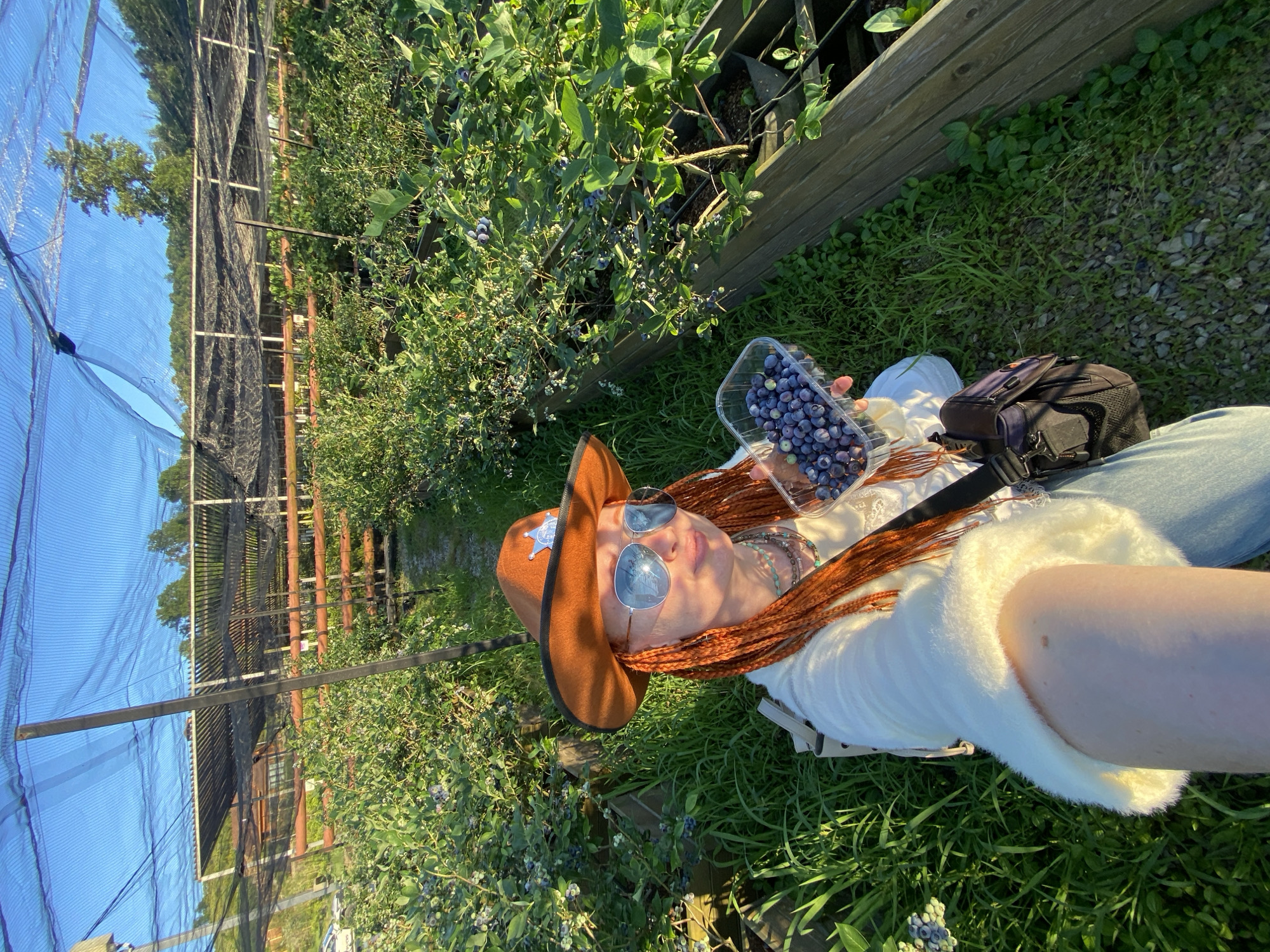 A young woman with bright orange braided hair, wearing a brown cowboy hat with a sheriff's badge, reflective aviator sunglasses, and a fluffy white sweater, is taking a selfie in a blueberry field. She is holding a clear plastic container filled with fresh blueberries in her right hand. The field is covered by a black netting structure, and rows of blueberry bushes are planted in raised wooden beds. The ground is covered with grass and gravel. The scene appears to be outdoors, possibly at a farm or agricultural site. The sky above is a clear blue. No specific landmarks or indications of the city of Sochi, Russia are visible in the image.