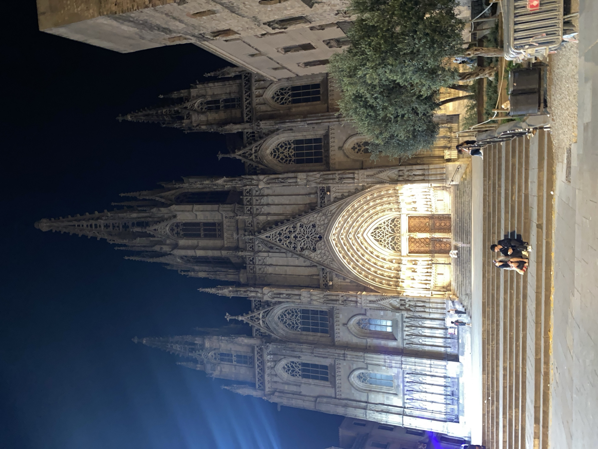 The image displays the majestic, illuminated facade of a grand Gothic cathedral at night, set in Barcelona, Spain. The cathedral dominates the frame, showcasing intricate architectural details, multiple spires adorned with finials, and numerous arched windows with elaborate tracery. A prominent feature is the large, ornate main entrance, topped by a detailed archway and a significant circular rose window or similar design.
The entire stone facade of the cathedral is brightly lit with warm, yellowish artificial lights, creating a dramatic contrast against the deep blue-black night sky. Towards the lower left, hints of blue light are also visible, suggesting additional modern lighting.
In the foreground, a broad set of stone steps leads up to the cathedral's main entrance. A few people are present on these steps; two individuals are seated on a lower step, while another person can be seen higher up. To the left of the cathedral, a large, leafy green tree stands, partially obscuring a portion of the building's upper structure. Nearby, there is a utility cart or stall-like structure with a red and white rectangular sticker on its front, but no legible text is discernable. A metal barrier or scaffolding is also visible near the tree. The scene evokes a serene yet imposing atmosphere of a historic landmark after dark.