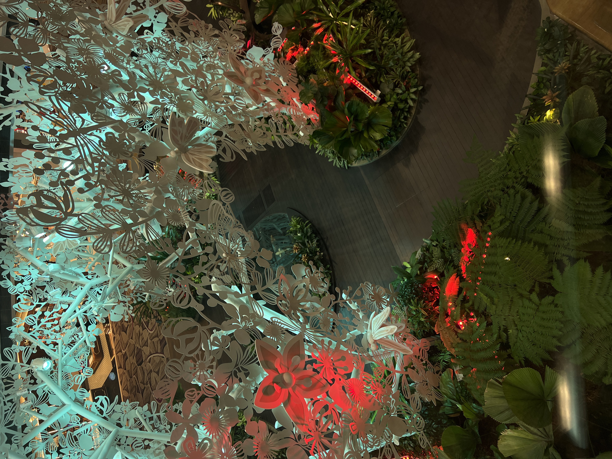 This is a high-angle medium shot of an art installation that resembles a stylized tree with intricate white floral and butterfly cutouts. The installation is illuminated with a mix of cool, cyan lighting from above and warm, red lighting from within the foliage. The foliage itself consists of various green plants, including ferns and broad-leafed plants, which are situated in planters below the art installation. The floor beneath appears to be made of dark wood planks. In the background, a patterned carpet and what appears to be seating or furniture can be seen, suggesting an indoor, possibly public space like a mall or airport lounge. The overall impression is one of a modern, decorative display with a naturalistic theme. This installation is located at Jewel Changi Airport, Singapore.