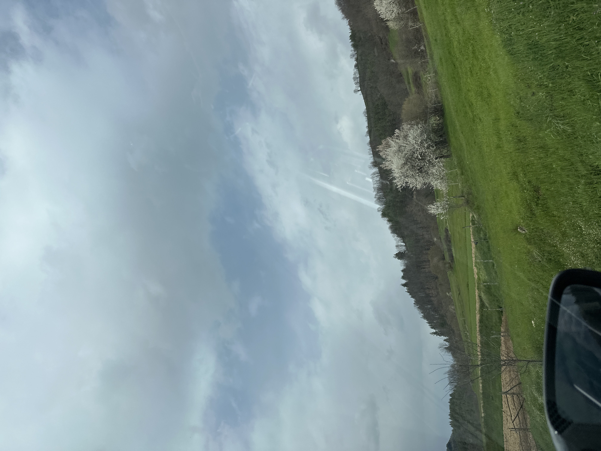 A landscape image, captured from an elevated position likely inside a vehicle, features a rural scene. The sky dominates the upper portion, displaying an overcast condition with mixed cloud cover and contrails. A line of trees appears along the right side, interspersed with green fields and a fence line. Some trees are blooming with white blossoms. In the bottom right, part of a vehicle's side mirror is visible. No specific details suggest this scene is in Dolen, Bulgaria.