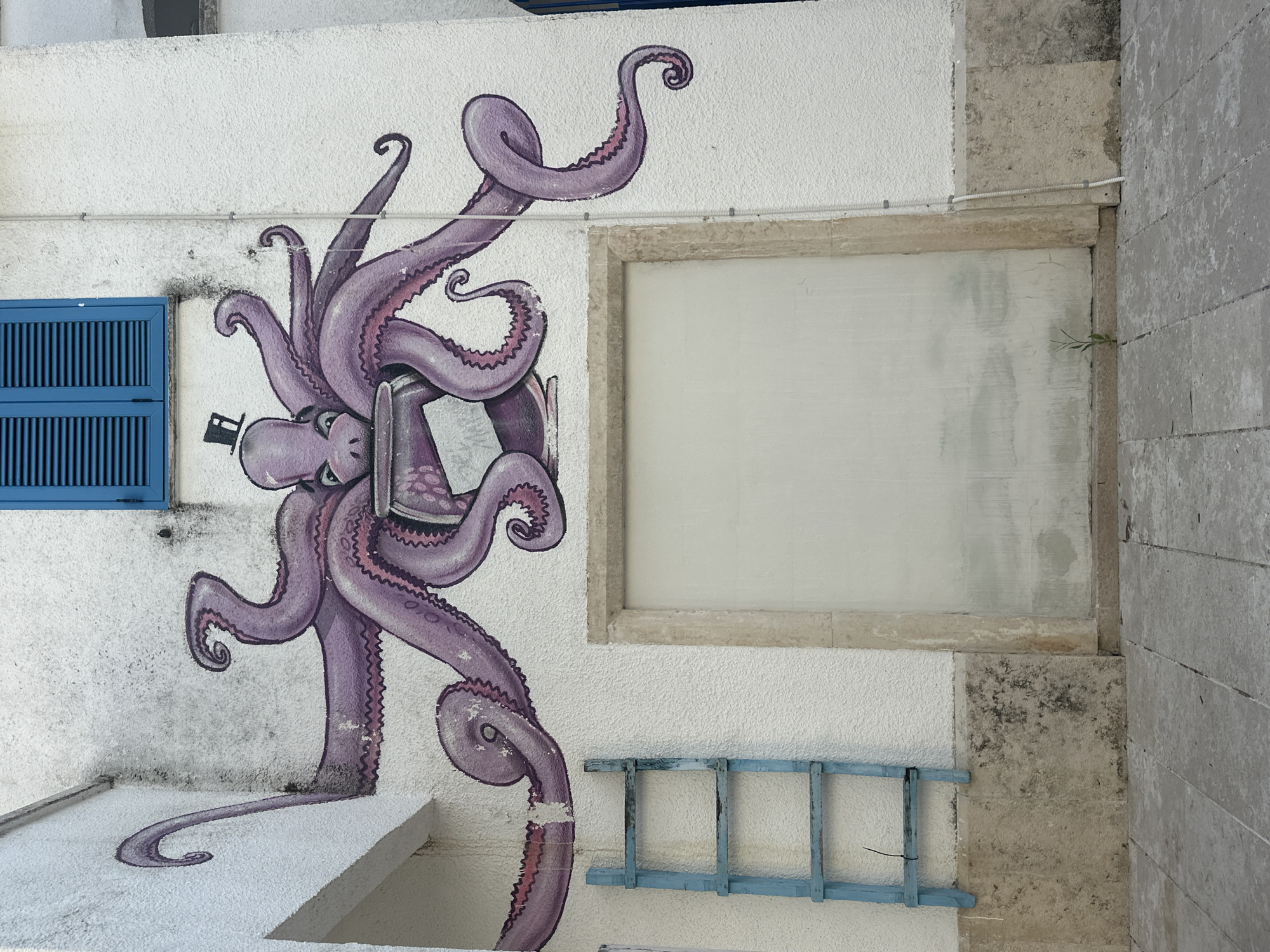 The image shows a mural of a purple octopus wearing a top hat, painted on the exterior wall of a building in Budva, Montenegro. The octopus is depicted holding a bowl in its tentacles. To the left of the mural, a blue wooden ladder leans against the wall. In front of the mural, there is a large, unpainted rectangular area that appears to be a boarded-up window or door, framed by beige stone. The ground in front of the building is paved with gray flagstones. A small green sprout is visible growing from the ground near the bottom right of the boarded-up section. A blue shuttered window is visible on the building above and to the right of the octopus mural. The wall itself is textured and painted white, with some areas showing discoloration and staining. The overall scene depicts an outdoor urban environment with street art.