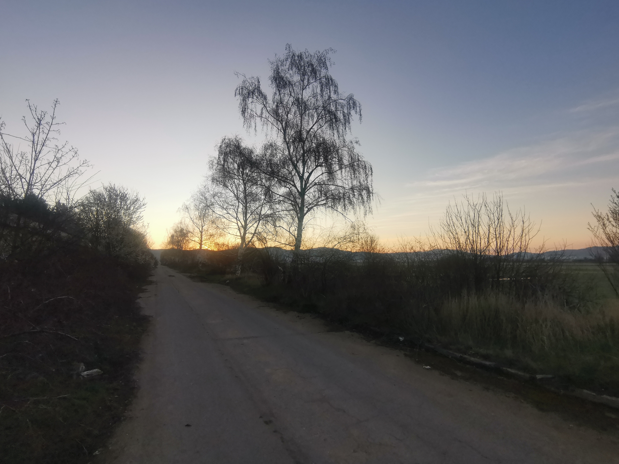 The image depicts a road in a rural setting, likely near Zhivkovo, Bulgaria based on the prompt's context. The road is asphalt, showing signs of wear. Trees, primarily bare-branched, line either side of the road. The sky transitions from blue to orange near the horizon, indicating either sunrise or sunset. There are fields to the right and hills in the distance. No people or animals are visible. The scene appears quiet and possibly remote.