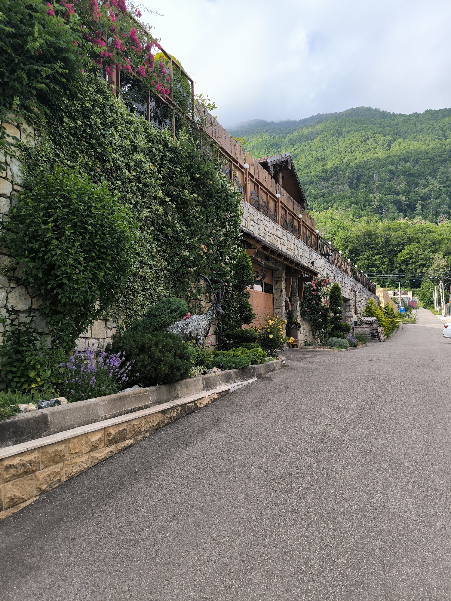 The image depicts a paved road curving uphill alongside a multi-story stone building adorned with abundant greenery, including flowering vines and manicured bushes. A decorative metal sculpture resembling an ibex stands amidst the landscaping. In the background, lush green mountains rise under a cloudy sky. The scene is likely located in Krasnaya Polyana, Russia, a mountainous resort town known for its natural beauty and architecture that complements its surroundings. The road appears to be a public thoroughfare, with no people or vehicles actively engaged in any discernible actions within the frame, suggesting a quiet, daytime setting. The building's architecture, featuring stone masonry and wooden accents, integrates well with the mountainous environment.
