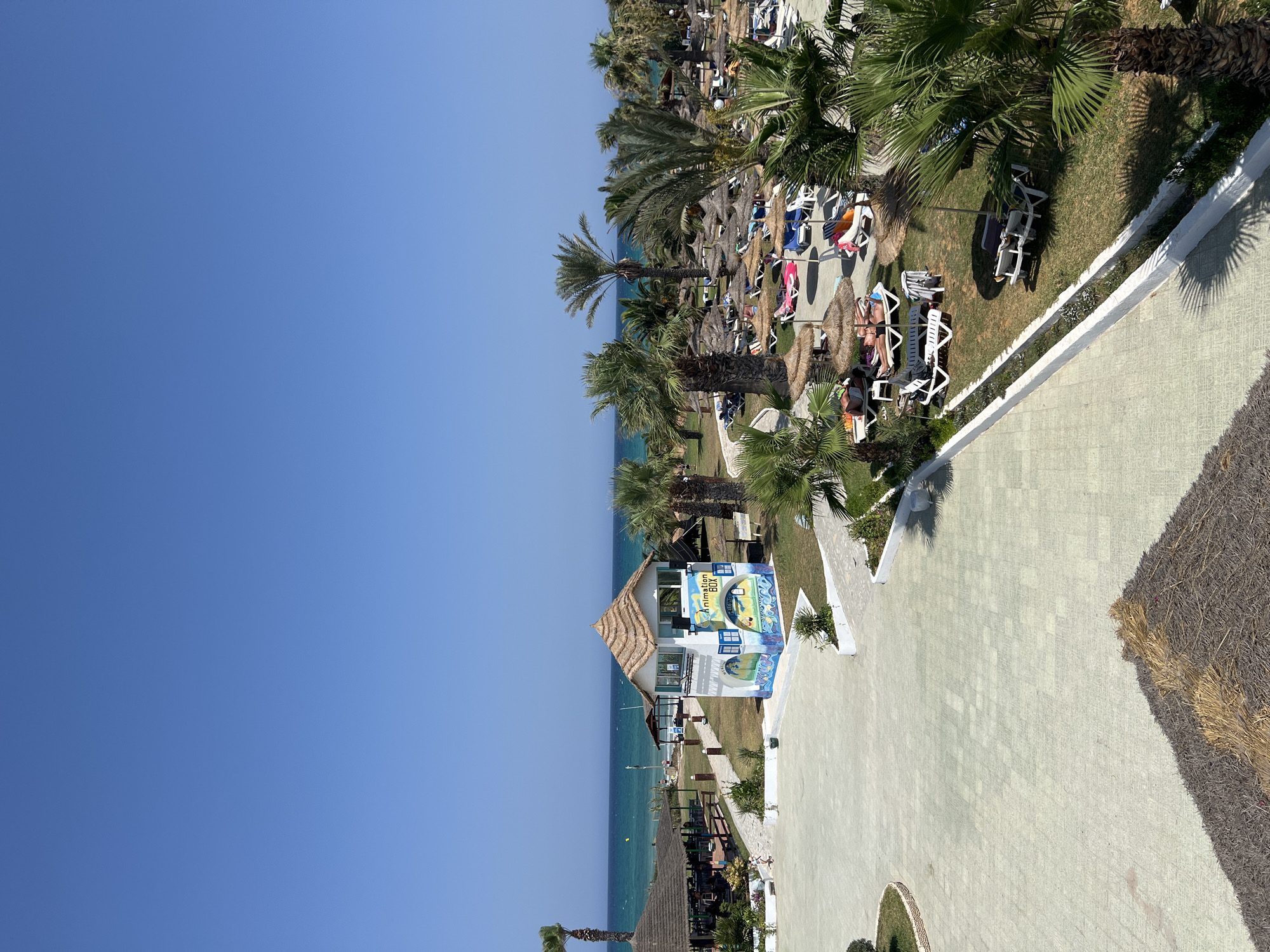 The image depicts a resort area in Hiboun, Tunisia, on a clear, sunny day. The scene features a beach with turquoise water and a clear blue sky. In the foreground, a paved area transitions to a grassy lawn dotted with palm trees and sun loungers. Several thatched umbrellas provide shade over the loungers, with some people visible relaxing on them. A small, white building with a thatched roof, labeled "Animation Box" and decorated with colorful murals, stands prominently on the grass. Further back, more thatched umbrellas and loungers are scattered across the lawn leading towards the beach. Structures with thatched roofs, possibly restaurants or bars, are also visible along the coastline. The overall environment suggests a vacation resort setting.