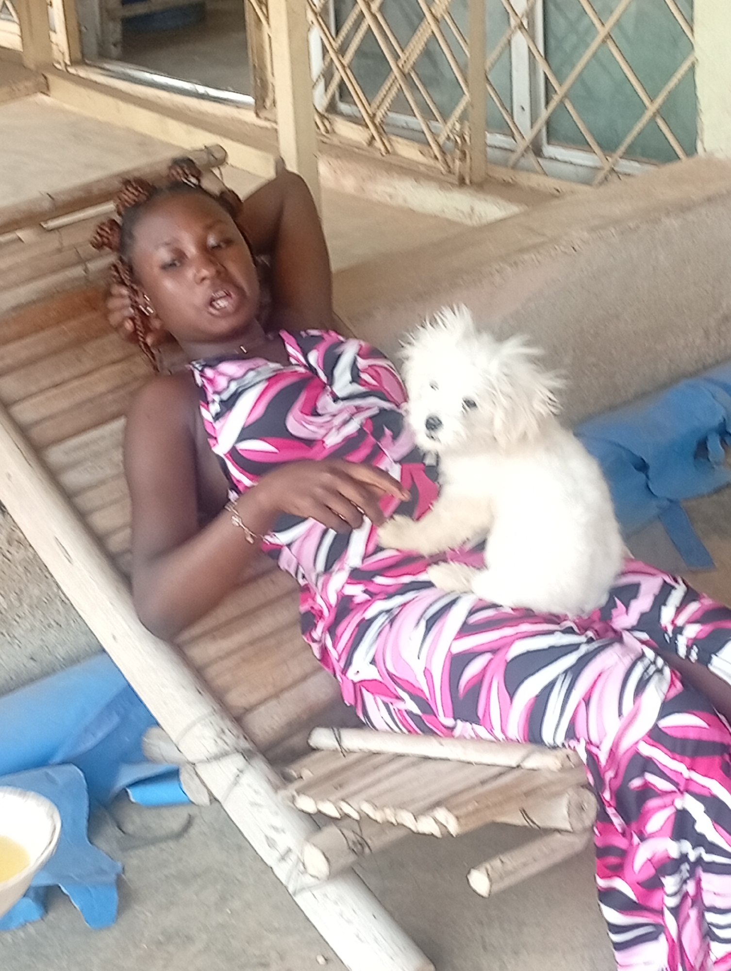 The image depicts a casual scene in Barakin Akawo, Nigeria, featuring a young woman and a small white dog. The woman, with dark skin and braided hair, is lying on a rustic wooden lounger or bed, her left arm resting behind her head. She wears a vibrant, sleeveless jumpsuit with a striking pattern of pink, black, and white swirls. Her mouth is open, suggesting she might be talking, singing, or caught mid-expression.
A small, fluffy white dog is perched on her abdomen, looking directly towards the viewer with bright eyes. Its fur appears somewhat spiky or disheveled. The setting seems to be a covered outdoor area or an indoor space with natural light. In the background, a window with diamond-patterned security bars is visible. The floor beneath the lounger is a light-colored concrete. Partially visible on the left side of the frame are a blue plastic object and a white bowl containing a yellowish liquid. The overall atmosphere is relaxed and shows a moment of companionship between the woman and her pet during what appears to be daytime. No text is visible in the image.
