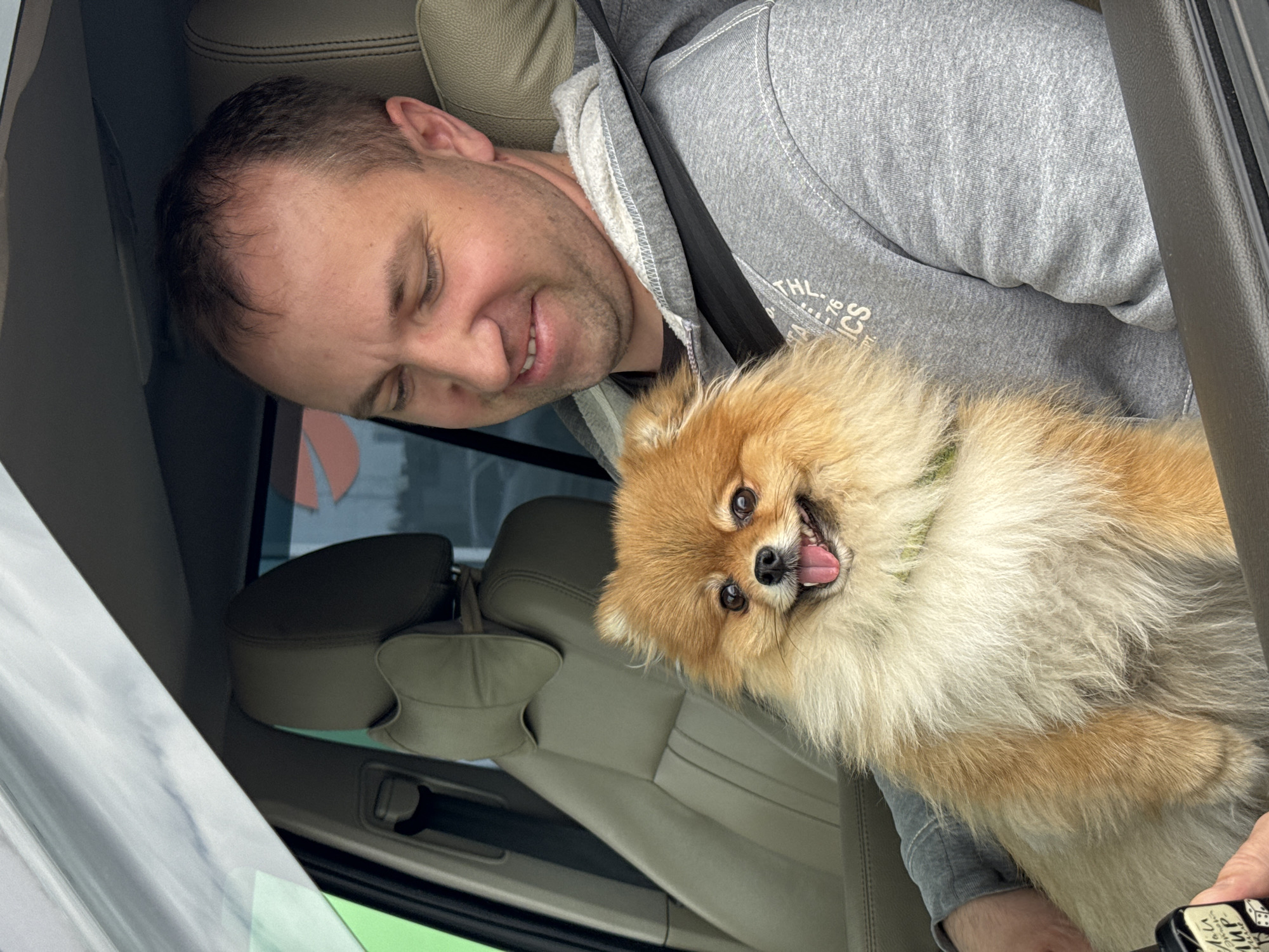 A man and a Pomeranian dog are in a car. The man is wearing a gray hooded sweatshirt and a seatbelt. He is smiling and looking at the dog. The dog is also smiling and looking at the camera. The car is parked or stopped, as evidenced by the scenery outside the window. The location is implied to be near Medovoye, Russia, but there are no visual elements to confirm this.