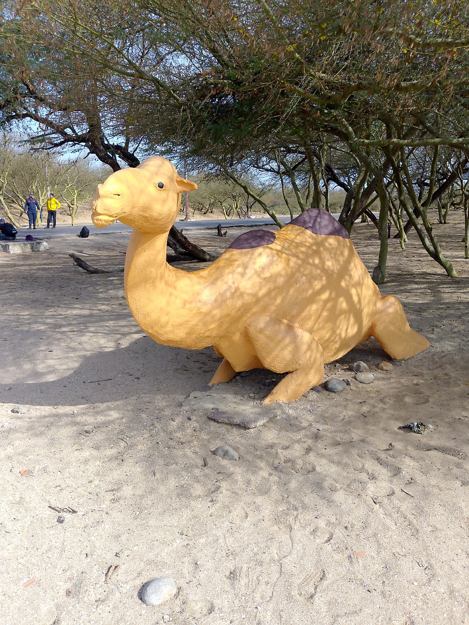 The image captures a camel sculpture in Coro, Venezuela. The sculpture is made of tan material with dark brown humps and is positioned on the sandy ground under the shade of trees. Two people stand in the background.