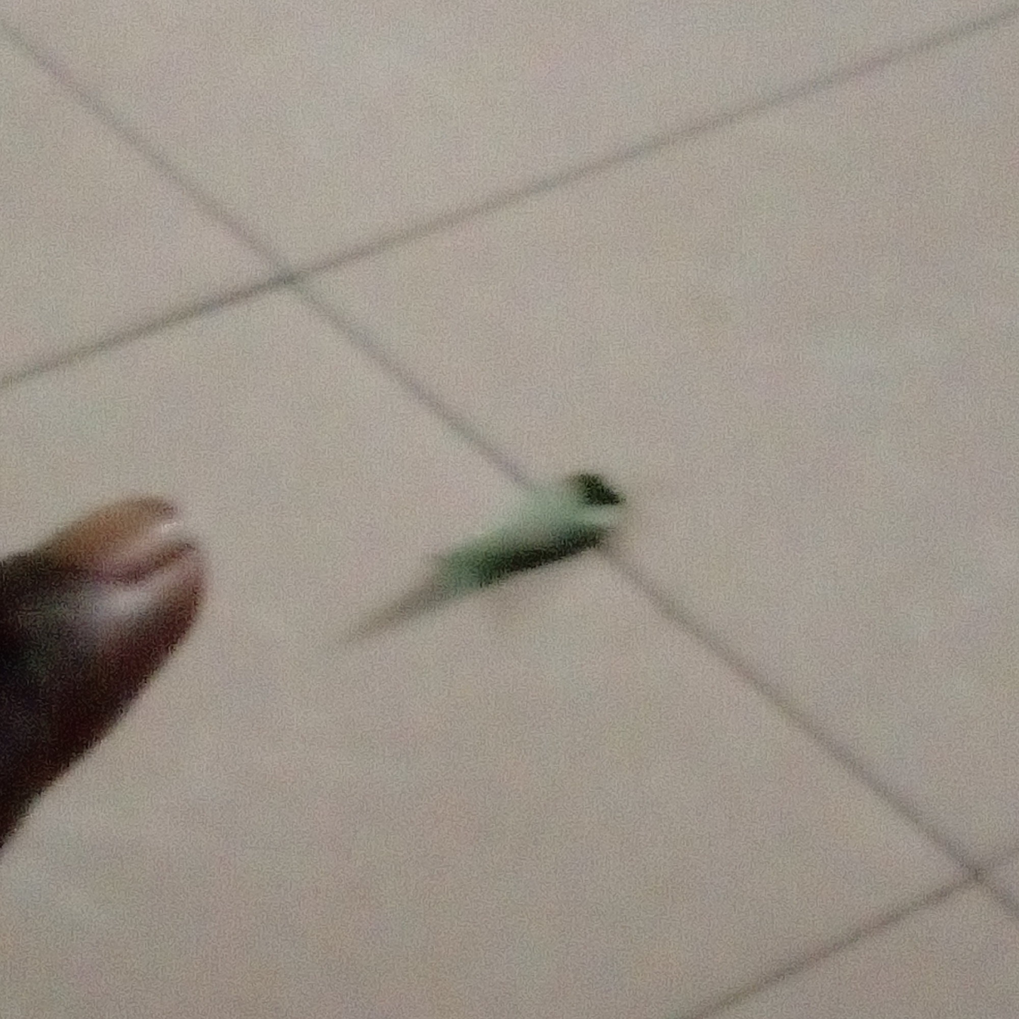 The image, likely taken indoors, shows a section of tiled flooring with a finger in the lower left corner and what appears to be a green insect (possibly a grasshopper) in the center. The setting is possibly in Adankolo, Nigeria, as specified.