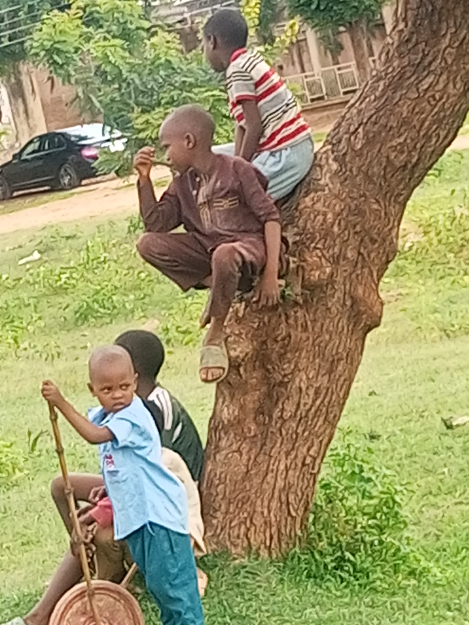 In the city of Tempure, Nigeria, a group of four young boys are gathered near a large tree with rough bark. The tree trunk is prominent in the foreground, extending upwards and to the right.
One boy, wearing a brown patterned tunic and trousers, sits on a thick branch of the tree, his left foot resting on a sandal and his right leg bent. Another boy, in a red, white, and blue striped shirt and blue shorts, is seated above him on the same branch, facing away from the camera.
Below the tree, a younger boy in a light blue short-sleeved shirt and blue trousers stands. He holds a long, thin stick with a circular object at the bottom, possibly part of a toy or game. He is looking to his left. Partially obscured behind him is another boy wearing a dark shirt with a white stripe on the shoulder.
To the left of the scene, a black sedan is parked on a dirt path. The background consists of green grass, lush trees, and a building with white railings. The overall scene appears to be an outdoor gathering of children in a residential or semi-urban area.