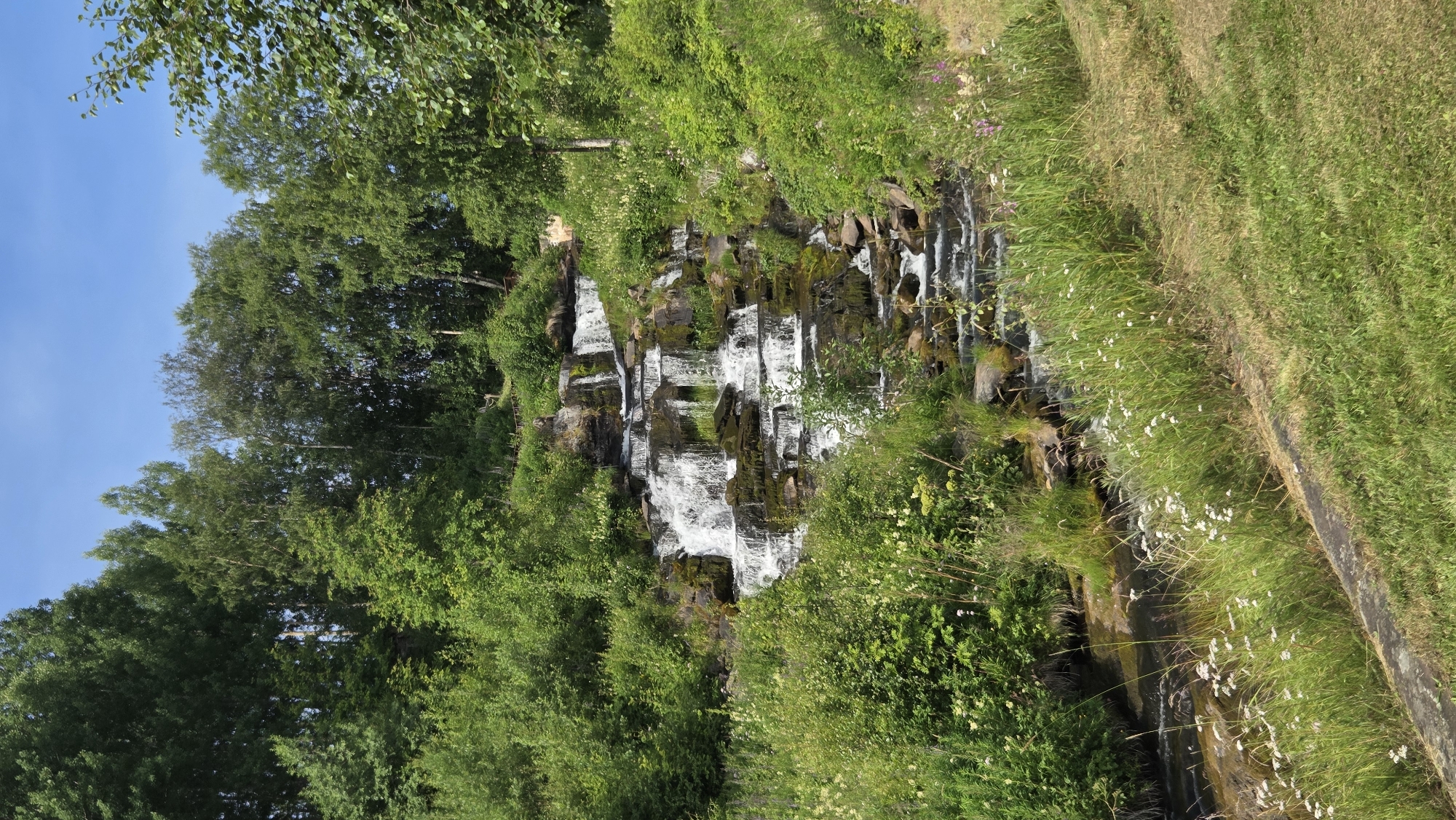 This image depicts a tiered waterfall cascading down a rocky slope, surrounded by lush green vegetation and trees. The sky above is a clear blue. The waterfall is the central focus, with water flowing over multiple levels of rock formations. The surrounding environment is wild and natural, with dense foliage and grass growing along the banks and on the rocks. The image appears to be taken during daylight hours. The scene does not contain any people or man-made structures, other than what might be implied by a path or railing at the top of the waterfall which is not clearly visible. There is a small stream at the bottom, flowing away from the waterfall.