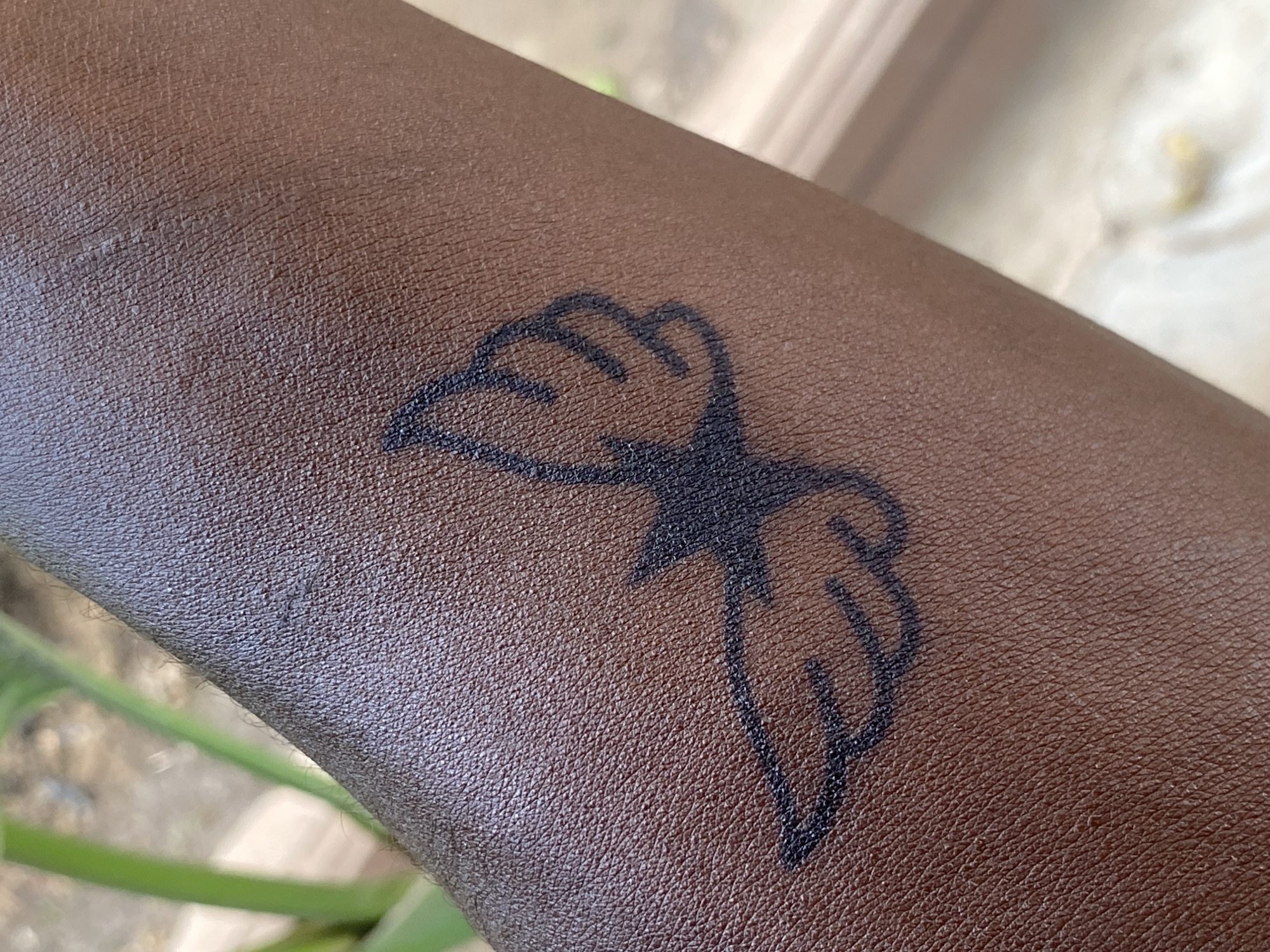 Close-up view of an arm with dark skin, displaying a tattoo of two small wings joined at a central point. The tattoo is located on the forearm. The background includes blurred elements of outdoor vegetation. There is no information to associate this image with Barden Yana, Nigeria.