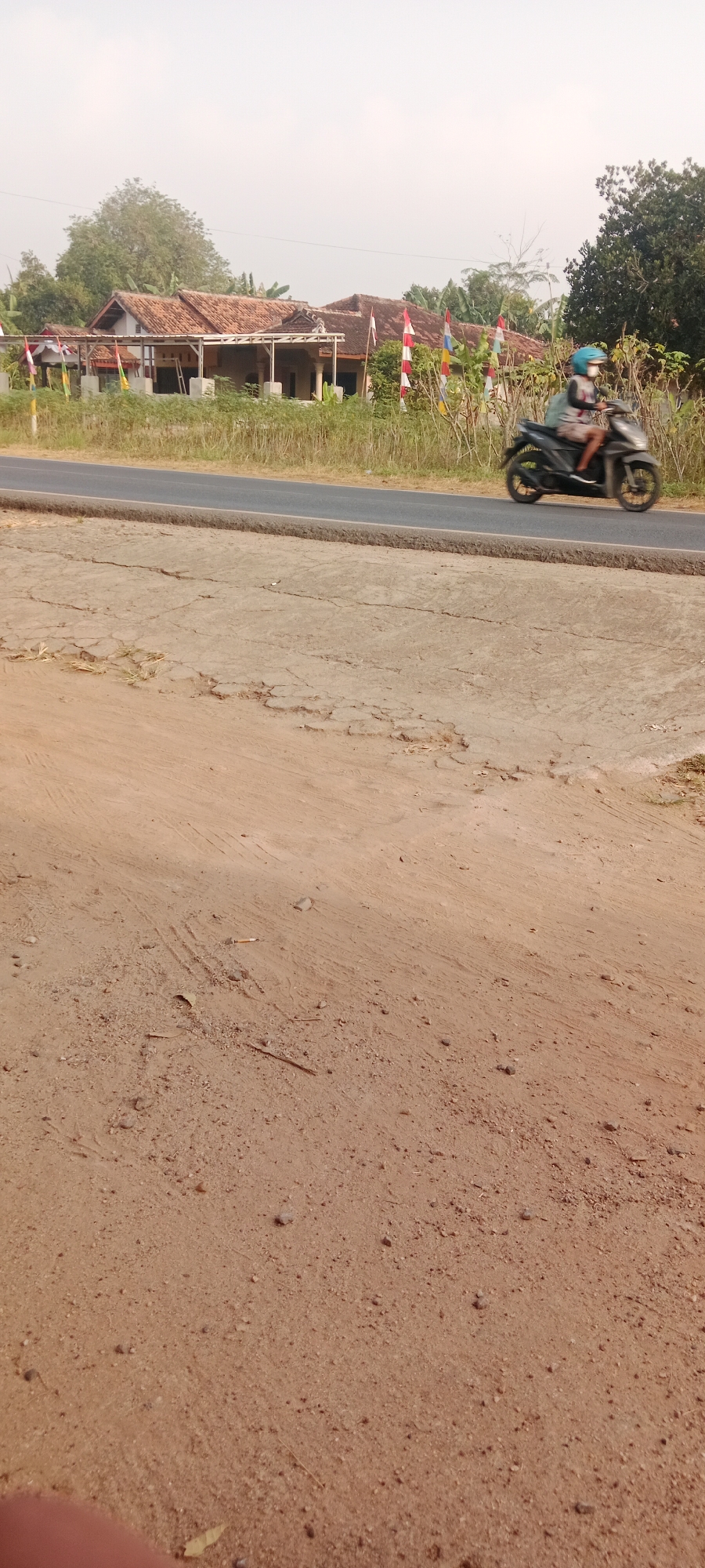 A motorcyclist, wearing a blue helmet and a light-colored shirt, is riding on a paved road in Gondang Rejo, Indonesia. The motorcyclist is positioned in the middle-right of the frame, and the motorcycle is in motion. To the left of the road, there is a row of houses with terracotta tile roofs. In front of the houses, there are several red and white flag banners, suggesting a local celebration or national holiday. The road is bordered by dry, tall grass on the left and some scrubby bushes on the right. The foreground of the image consists of a dirt or sand-covered ground with some tire tracks and small stones. The sky is overcast and bright.