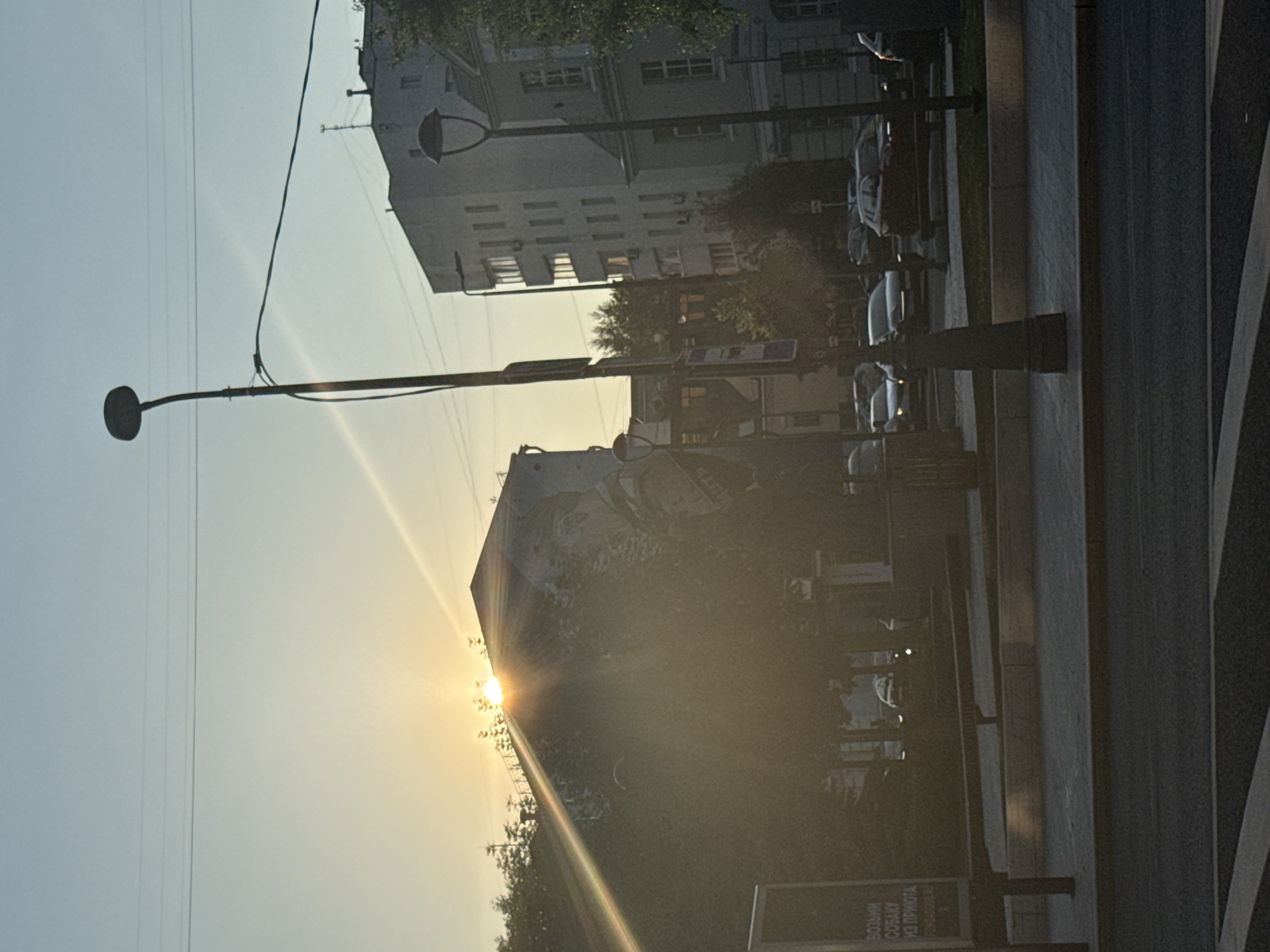 The image captures an urban scene in Moscow, Russia, at sunset. The sun is low on the horizon, casting a warm, golden light that creates lens flares and highlights the edges of buildings and trees. In the foreground, a lamppost with a circular light fixture is visible, extending into the frame. Beyond it, a large building with multiple windows dominates the midground, its facade partially obscured by the low sun. The building appears to be residential or commercial, with an urban architectural style typical of Moscow. Further in the background, another building is visible, appearing taller and possibly older. Trees line the street, their leaves catching the sunlight. The street itself is paved, with a sidewalk running alongside. Reflections of streetlights and possibly vehicles can be seen on the wet pavement, suggesting recent rain or a generally damp environment. The overall atmosphere is serene and somewhat melancholic, owing to the fading light of day and the urban setting.
Visible text includes Cyrillic script on a sign in the lower right portion of the image. The text appears to be an advertisement or informational sign, with words like "ВОЗЬМИ" (Take) and "СОБАКУ" (Dog) discernable, suggesting a pet-related service or adoption. Another partial phrase "ИЗ ПРИЮТА" (from the shelter) is also visible. The time of day is clearly sunset due to the low sun angle, lens flares, and warm light. The weather appears to be clear, though the wet pavement indicates recent precipitation. The location is identified as Moscow, Russia through the text and typical urban architecture.