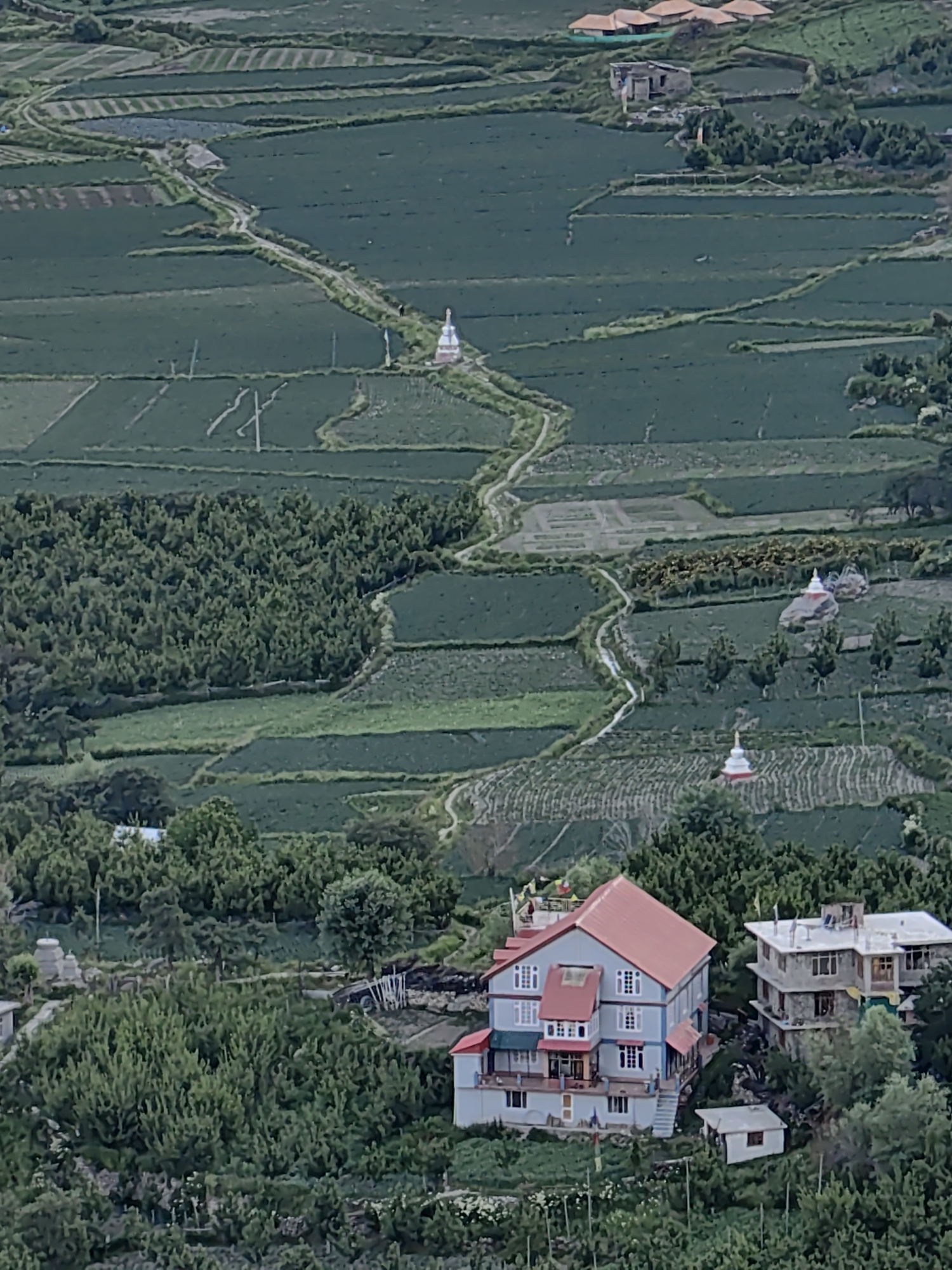 An aerial, high-angle, full shot captures a vibrant landscape near Keylang, India, characterized by terraced fields, lush greenery, and scattered buildings. The foreground is dominated by dense vegetation and two multi-story buildings with red and white roofs, suggesting a residential or guesthouse area. A smaller, detached structure with a white roof is situated near the buildings.
Further into the midground, more buildings with light-colored exteriors and flat roofs are visible, nestled amongst trees. The landscape transitions into expansive green fields, meticulously divided into terraces, crisscrossed by winding dirt paths. Several small, white stupas, characteristic of Buddhist religious structures, are strategically placed within the fields, some with red accents.
In the background, more terraced fields continue to stretch, punctuated by clusters of trees and distant structures with terracotta-tiled roofs. The overall impression is a harmonious blend of natural beauty and human habitation, showcasing a rural setting with evident agricultural activity and cultural elements. The lighting suggests a daytime scene, with soft illumination and no harsh shadows. The scene is static, with no discernible movement or activity.